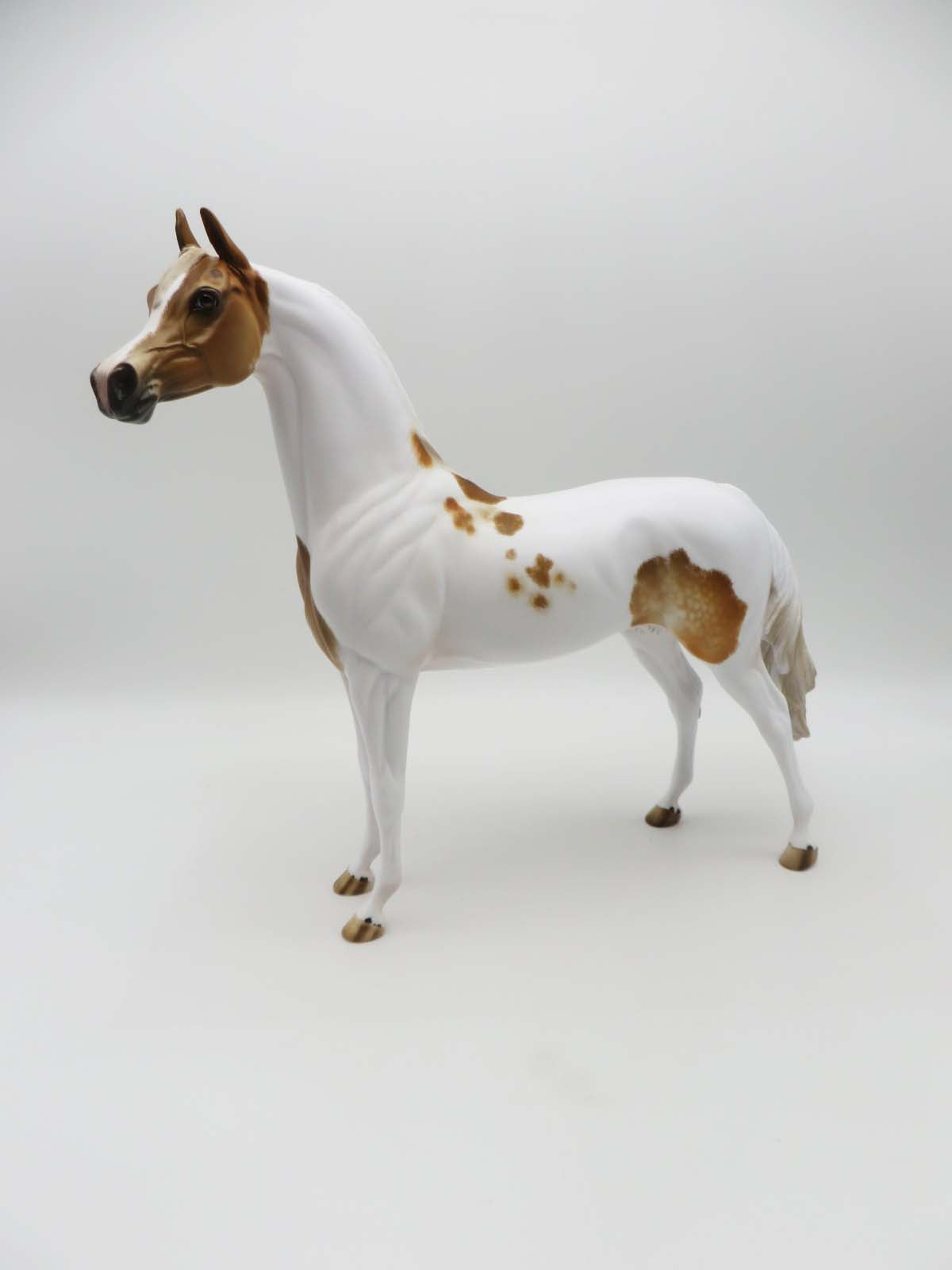 Company Man - OOAK - Dappled Chestnut Pinto Arabian by Julie Keim - SHCF23