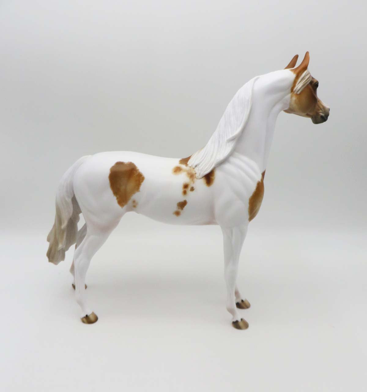 Company Man - OOAK - Dappled Chestnut Pinto Arabian by Julie Keim - SHCF23
