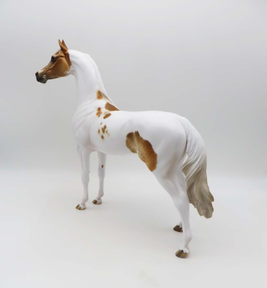 Company Man - OOAK - Dappled Chestnut Pinto Arabian by Julie Keim - SHCF23