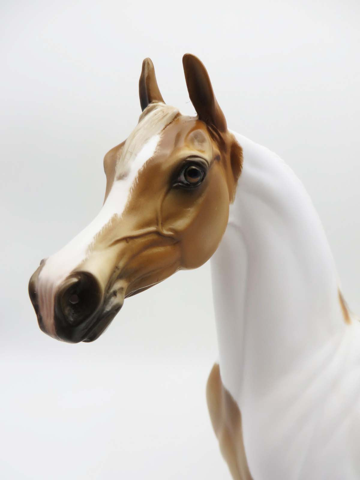 Company Man - OOAK - Dappled Chestnut Pinto Arabian by Julie Keim - SHCF23