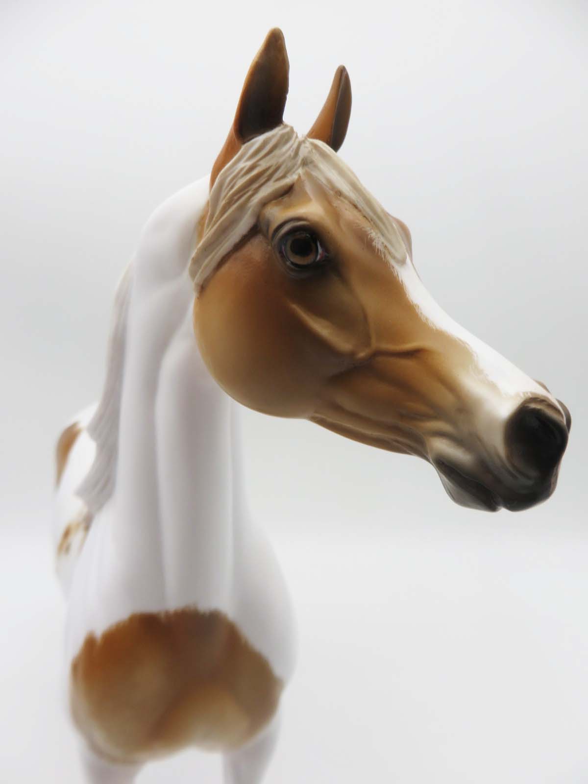 Company Man - OOAK - Dappled Chestnut Pinto Arabian by Julie Keim - SHCF23