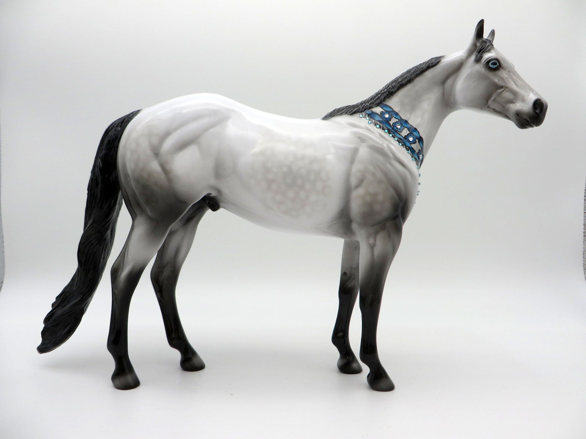 Congress | Dapple Gray Bling Collar ISH by Dawn Quick | 7/1/21