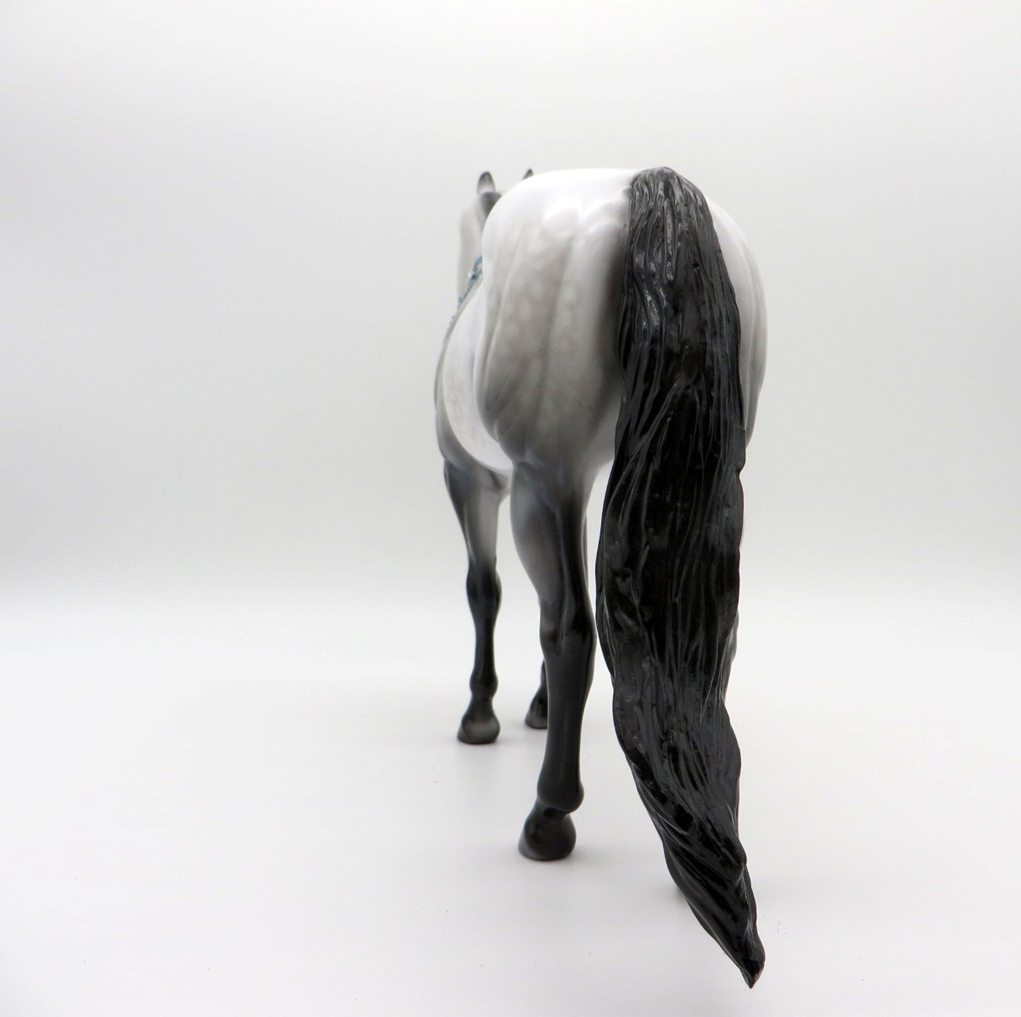 Congress | Dapple Gray Bling Collar ISH by Dawn Quick | 7/1/21