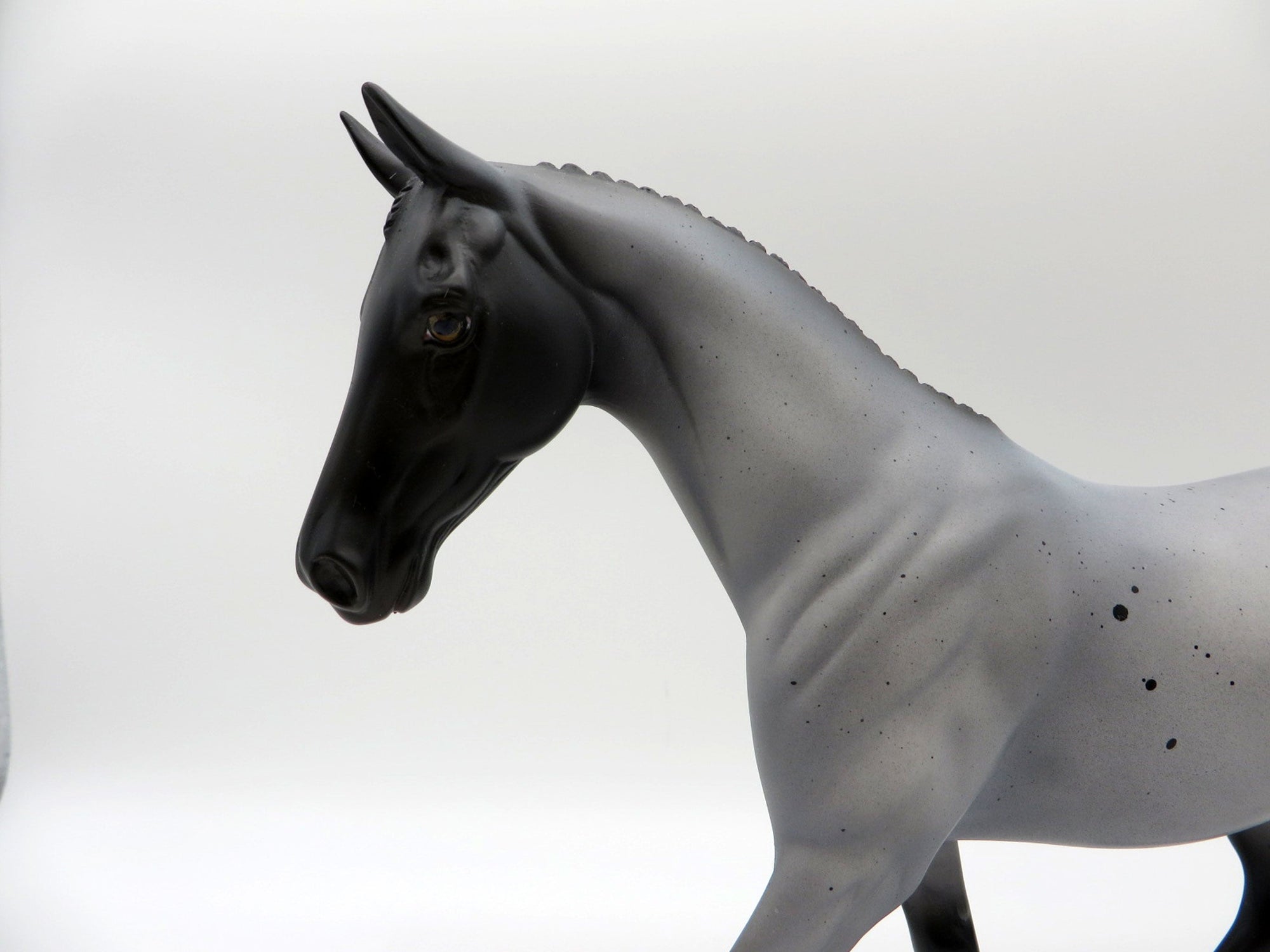 Conner-OOAK Blue Roan Pony Painted By Ellen Robbins 5/28/21