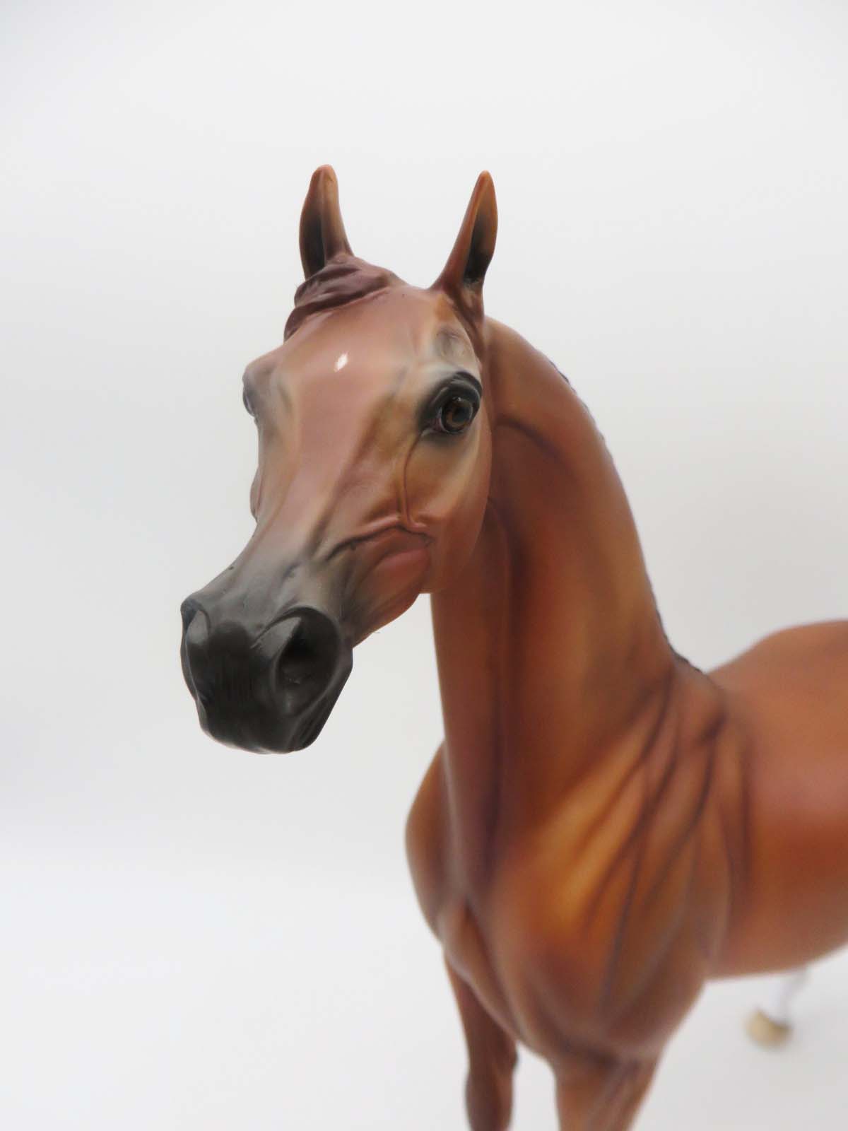 Cool Cat - OOAK - Chestnut Arabian By Ellen Robbins- P&C 23