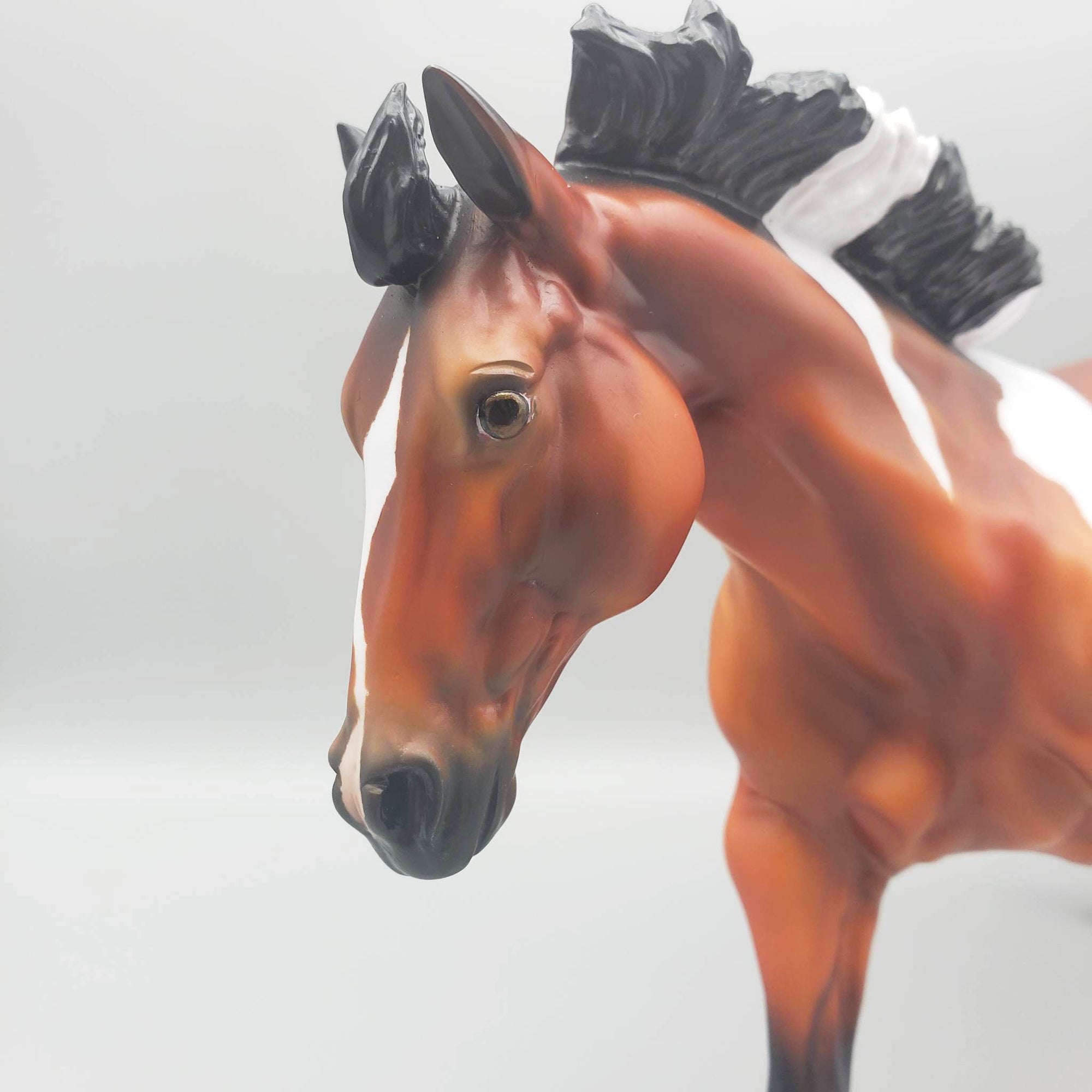 Coolio LE15 SHORT MANE Running Stock Horse By Angela Marleau EQ23