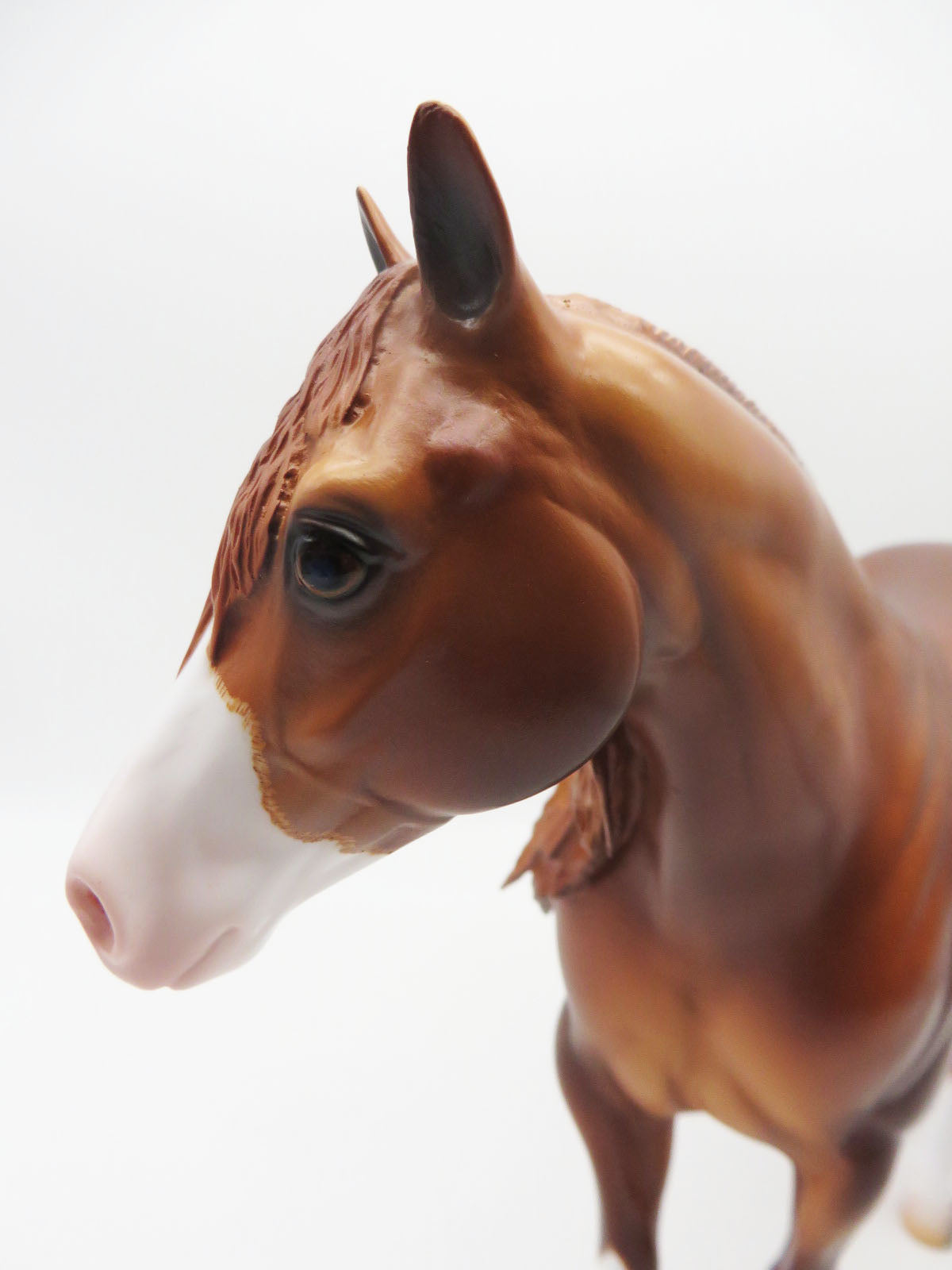 Copeland - OOAK - Dapple Chestnut Ideal Stock Horse By Caroline Boydston BEST OFFER 11/07/22