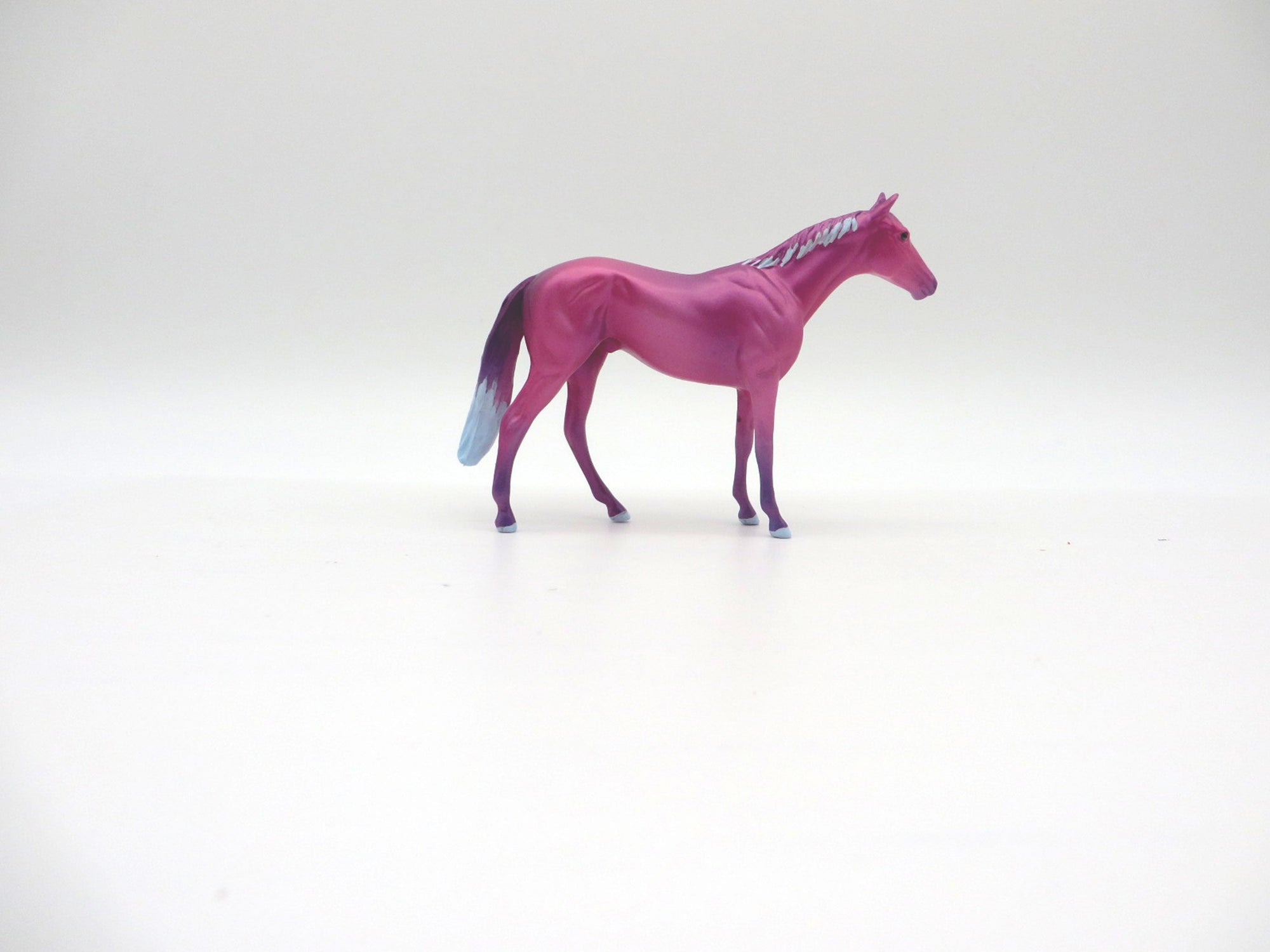 Cory-OOAK Deco Thoroughbred Chip Shark Week 7/12/21