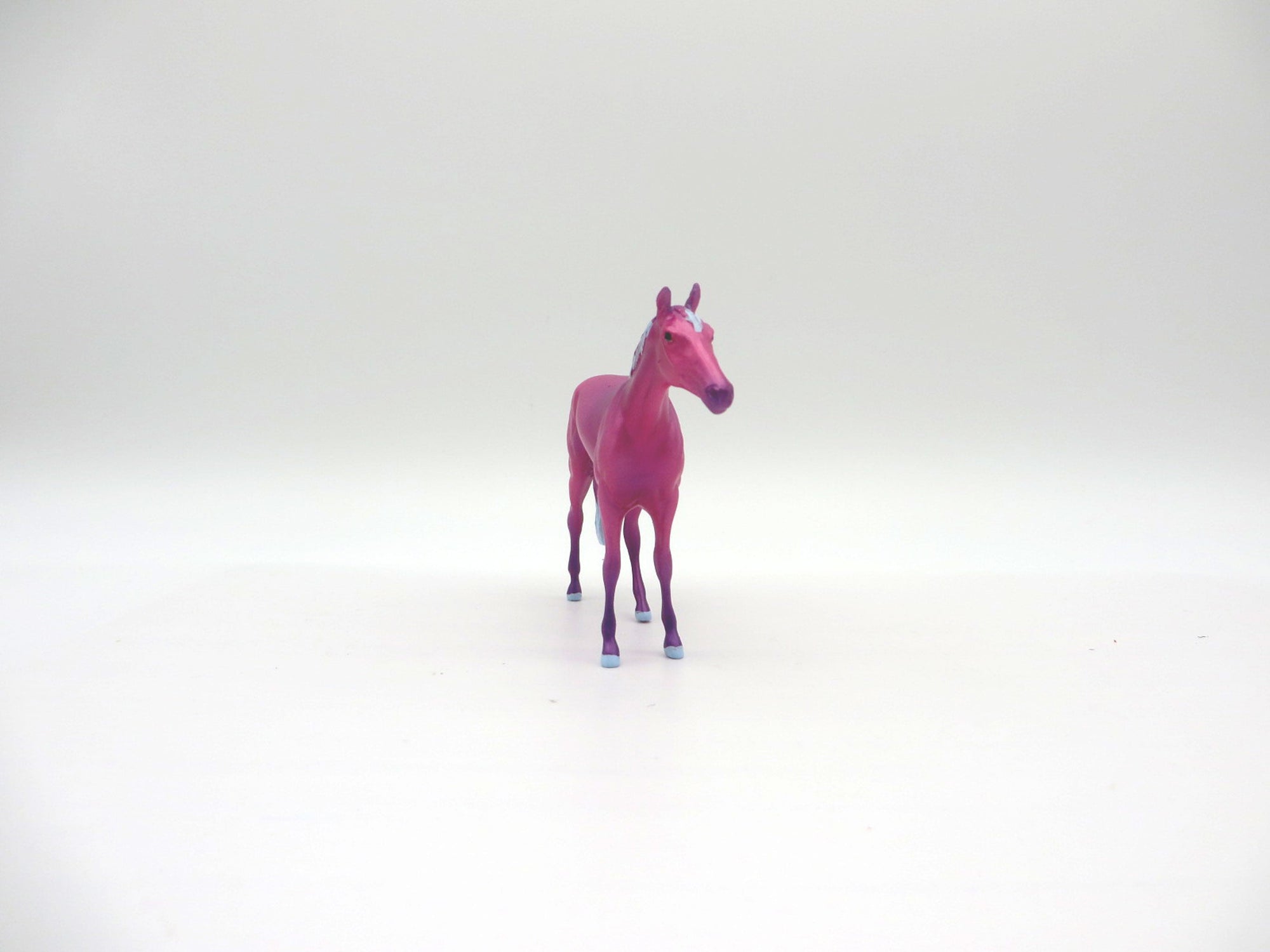 Cory-OOAK Deco Thoroughbred Chip Shark Week 7/12/21