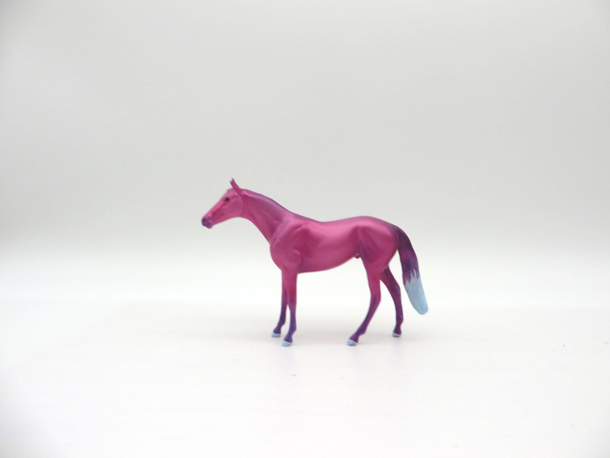 Cory-OOAK Deco Thoroughbred Chip Shark Week 7/12/21