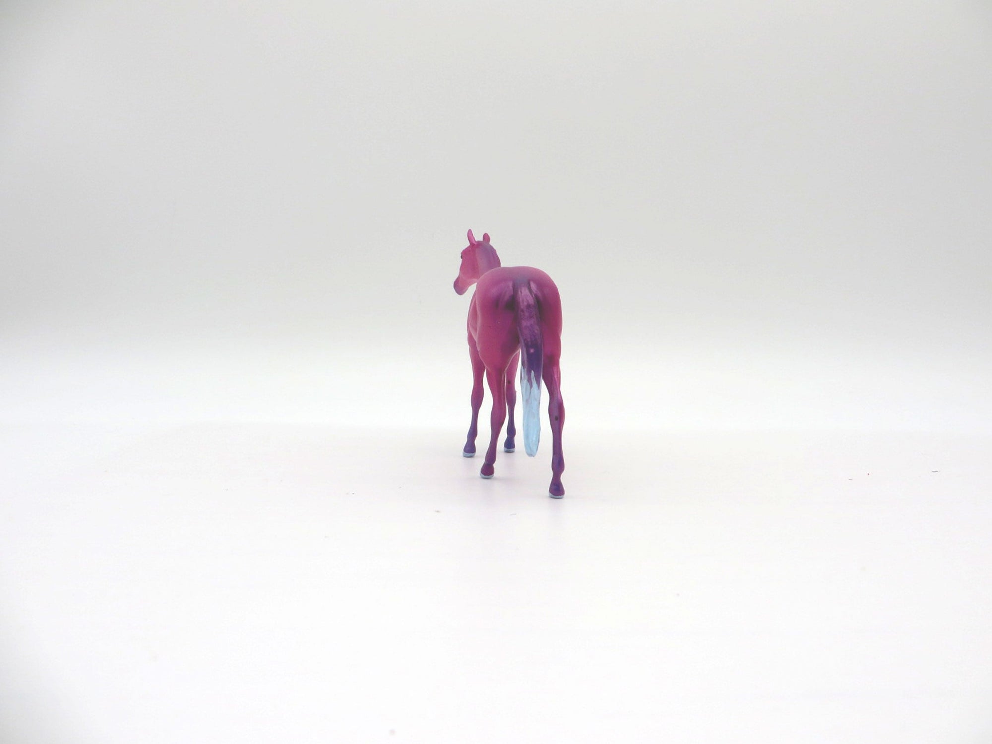 Cory-OOAK Deco Thoroughbred Chip Shark Week 7/12/21