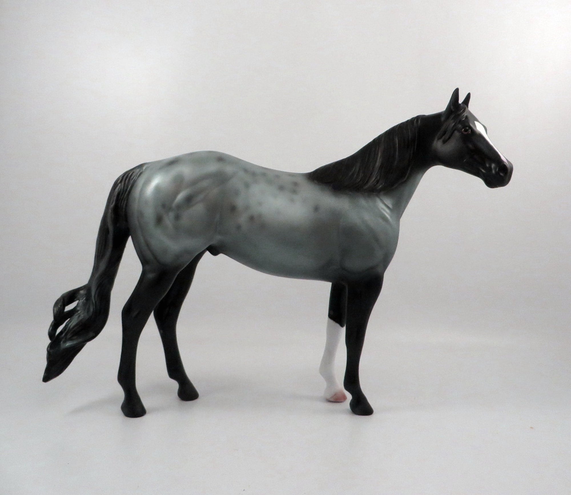 Cosmic Connection-OOAK Roan ISH 2/25/21