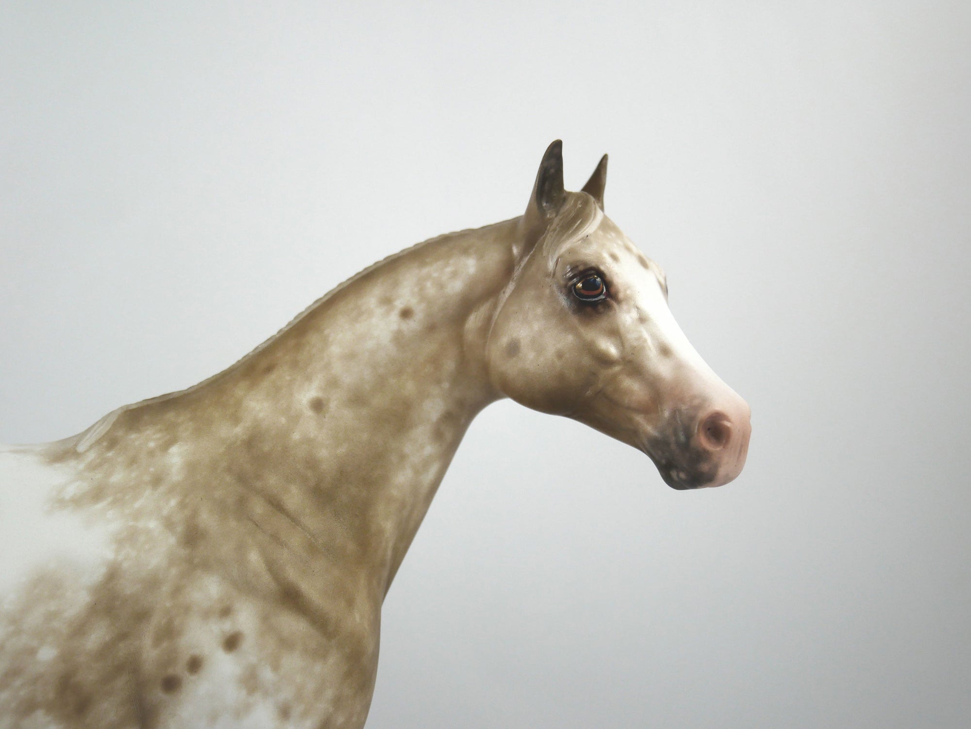 Cosmo-OOAK Bay Appaloosa ISH Painted By Sheryl Leisure 1/15/21