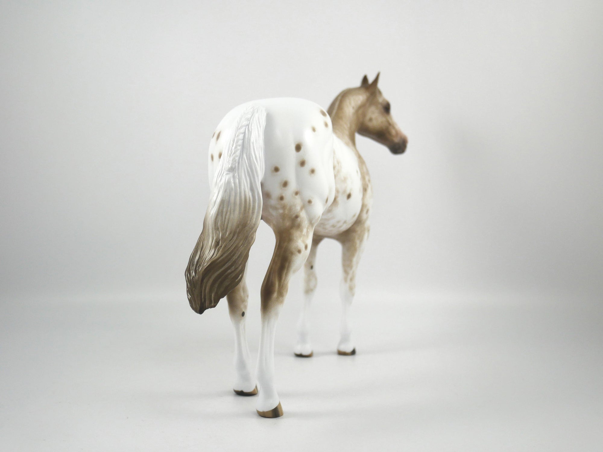 Cosmo-OOAK Bay Appaloosa ISH Painted By Sheryl Leisure 1/15/21