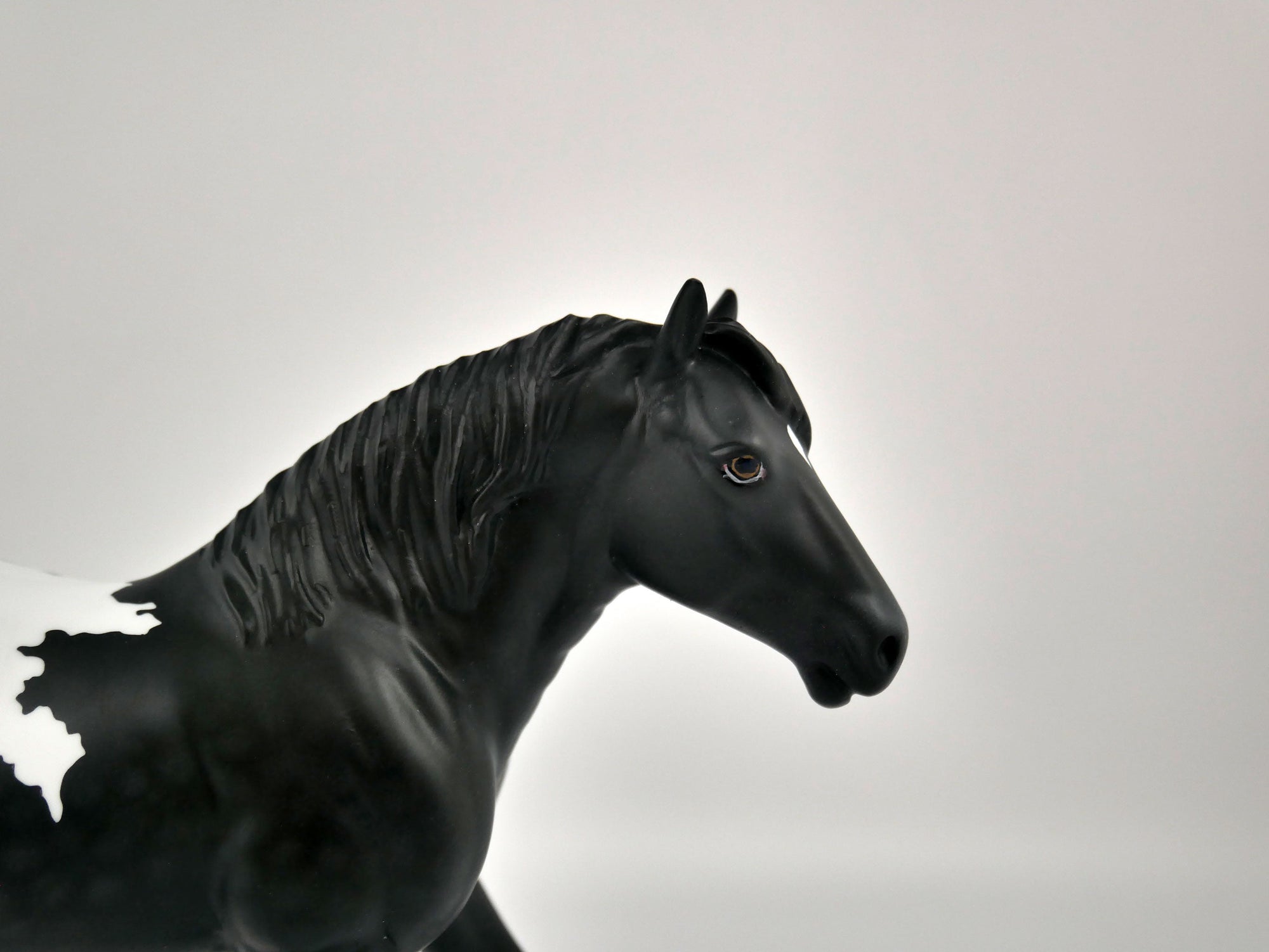 COW COW-OOAK BLACK BLANKET APPALOOSA PEBBLE DRAFTER BY ELLEN ROBBINS 12/09/20