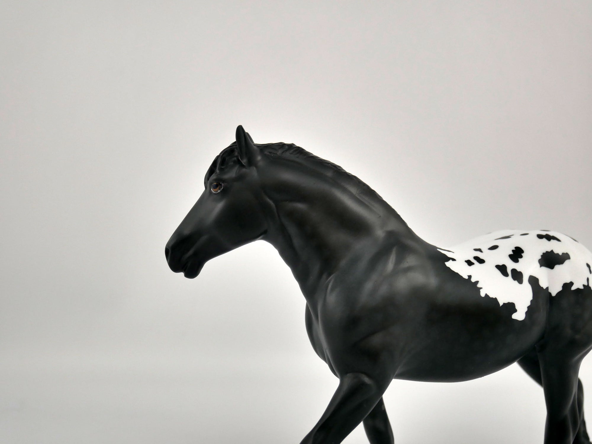 COW COW-OOAK BLACK BLANKET APPALOOSA PEBBLE DRAFTER BY ELLEN ROBBINS 12/09/20