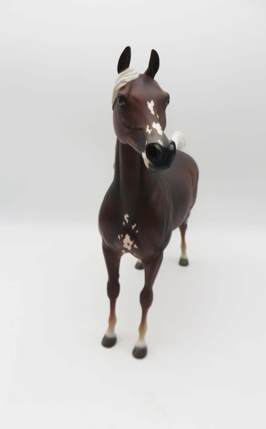 Crest - OOAK - Liver Chestnut Arabian By Jess Hamill - P&C 23