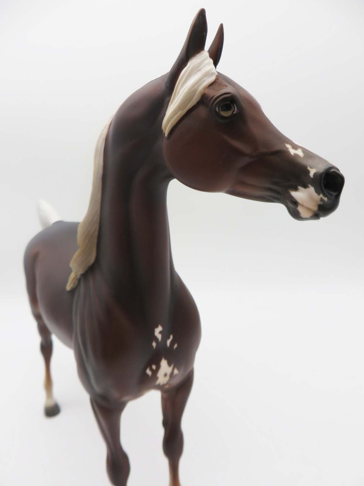 Crest - OOAK - Liver Chestnut Arabian By Jess Hamill - P&C 23