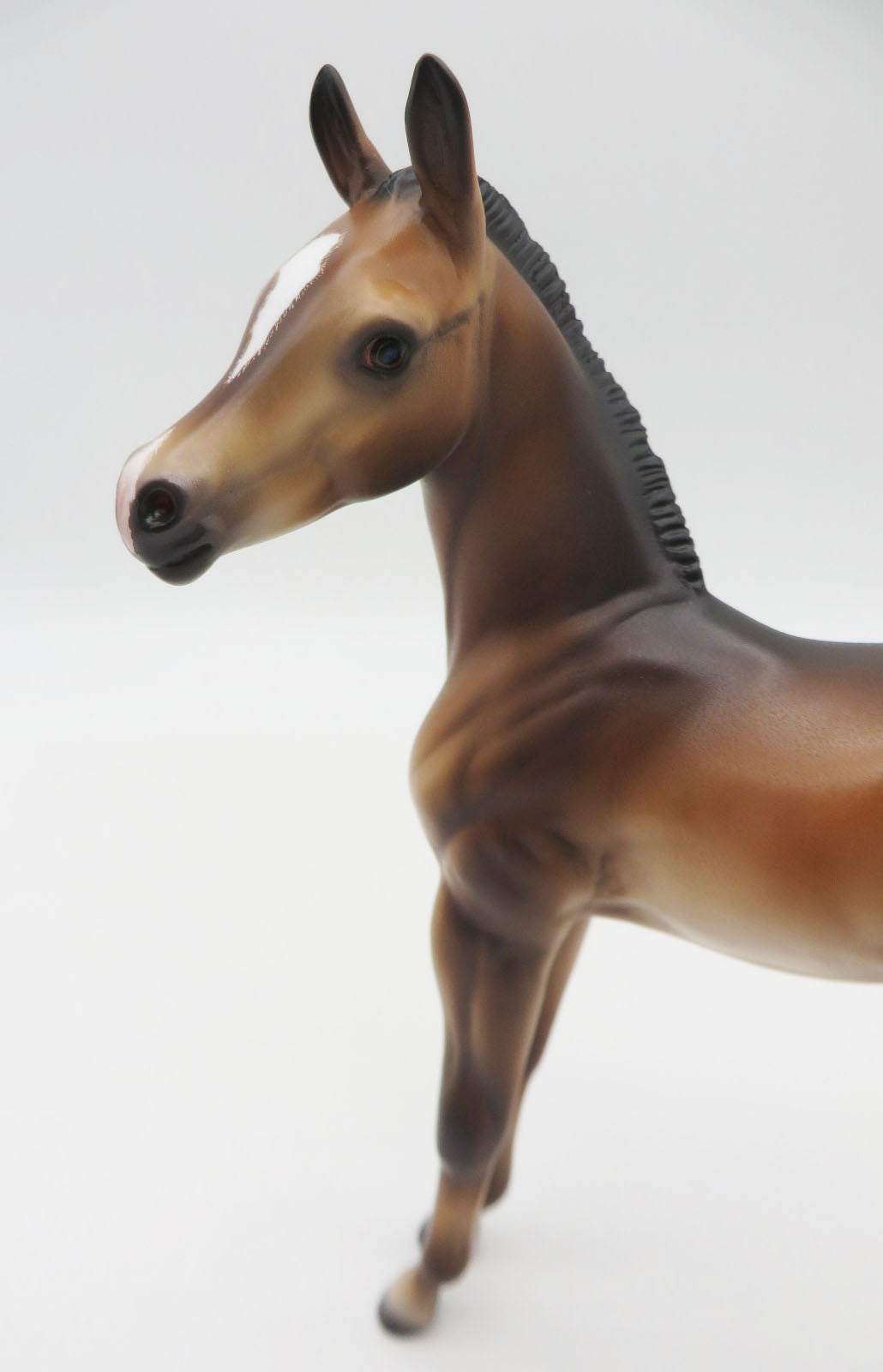 Cricket - OOAK Bay Arab Foal By Caroline Boydston 11/28/22