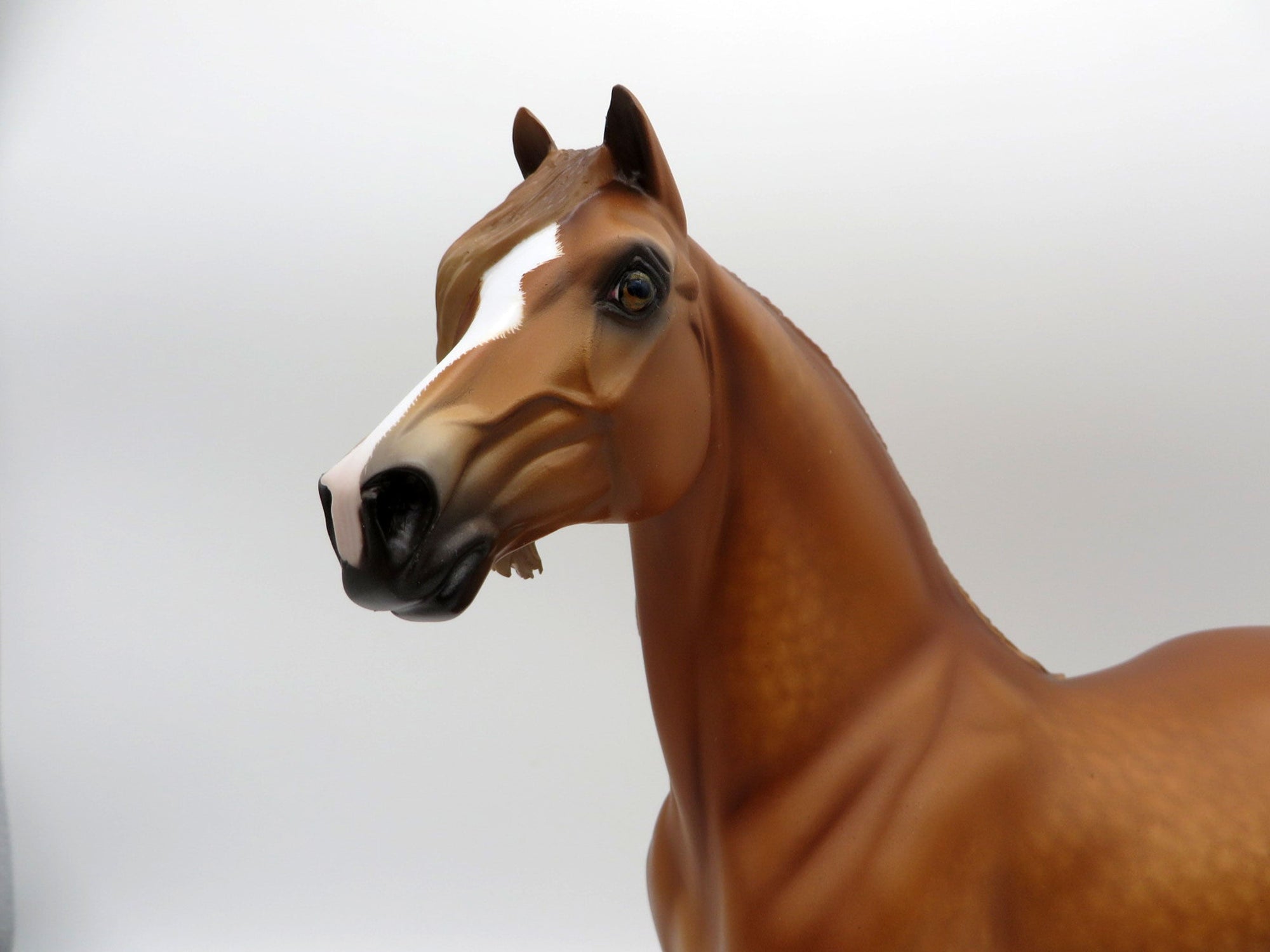 Crimson and Clover- OOAK Dapple Chestnut Morgan Painted by Sheryl Leisure MM21