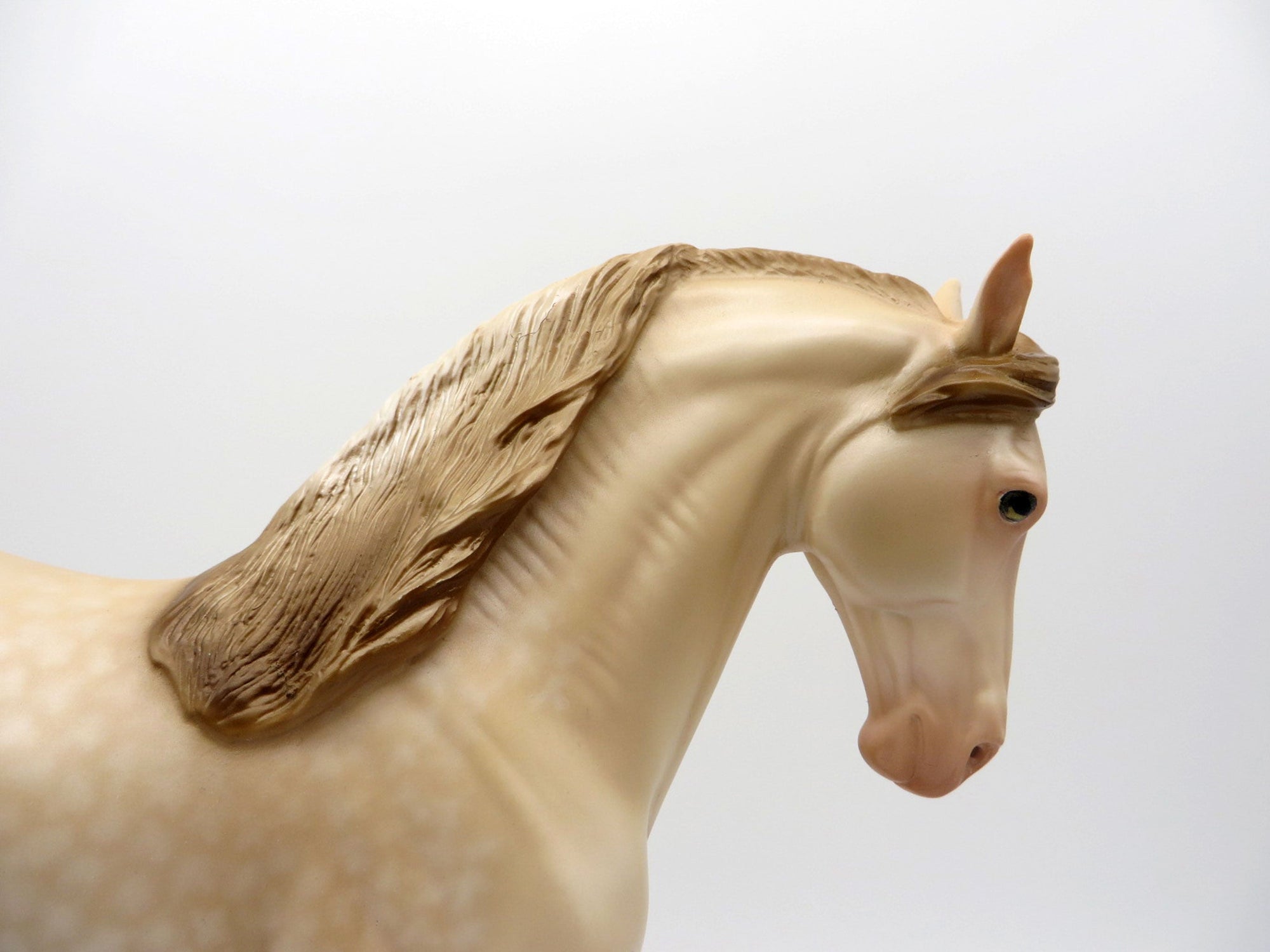 Crina-OOAK Champagne Andalusian SHCH 2021