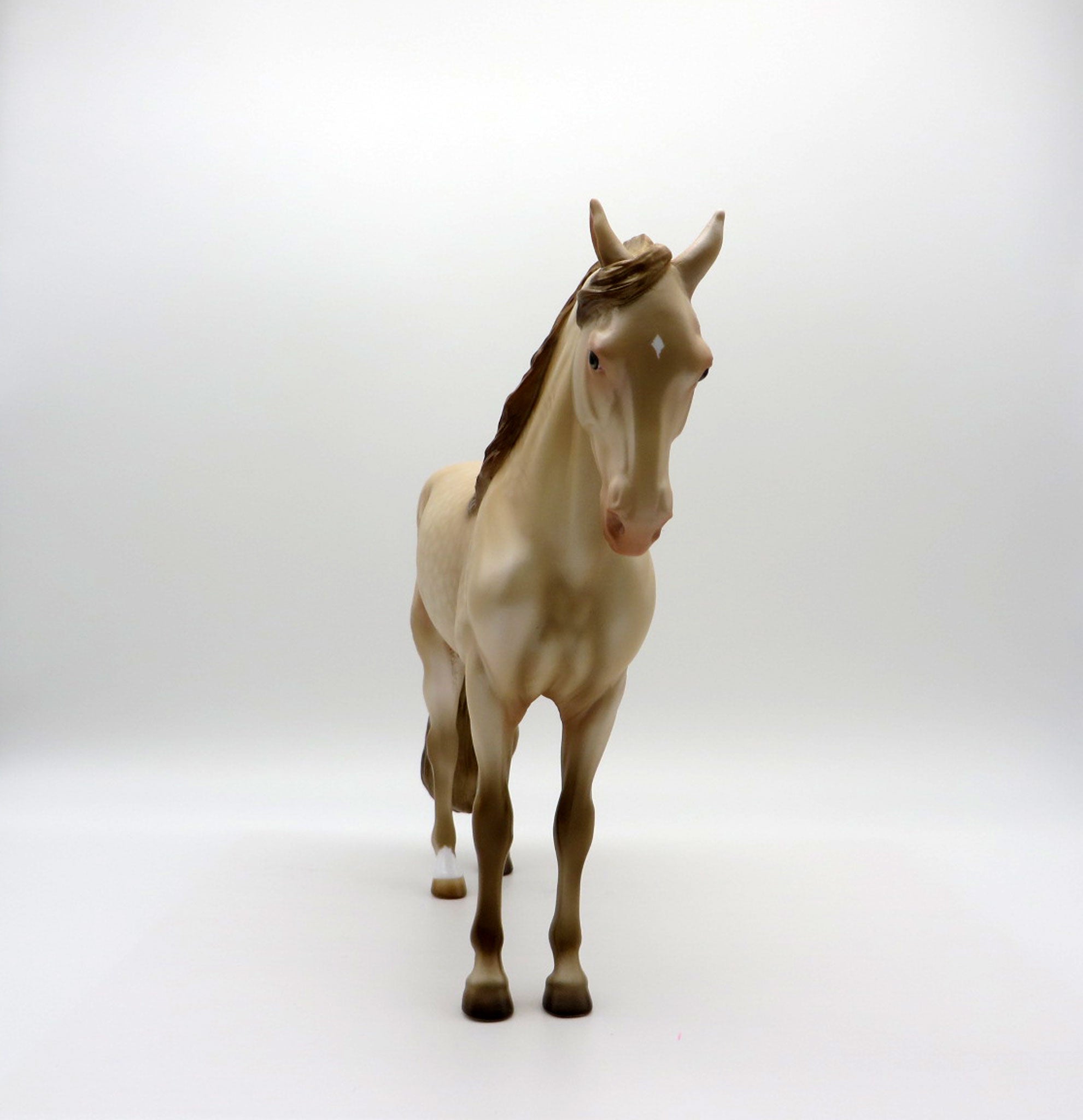 Crina-OOAK Champagne Andalusian SHCH 2021