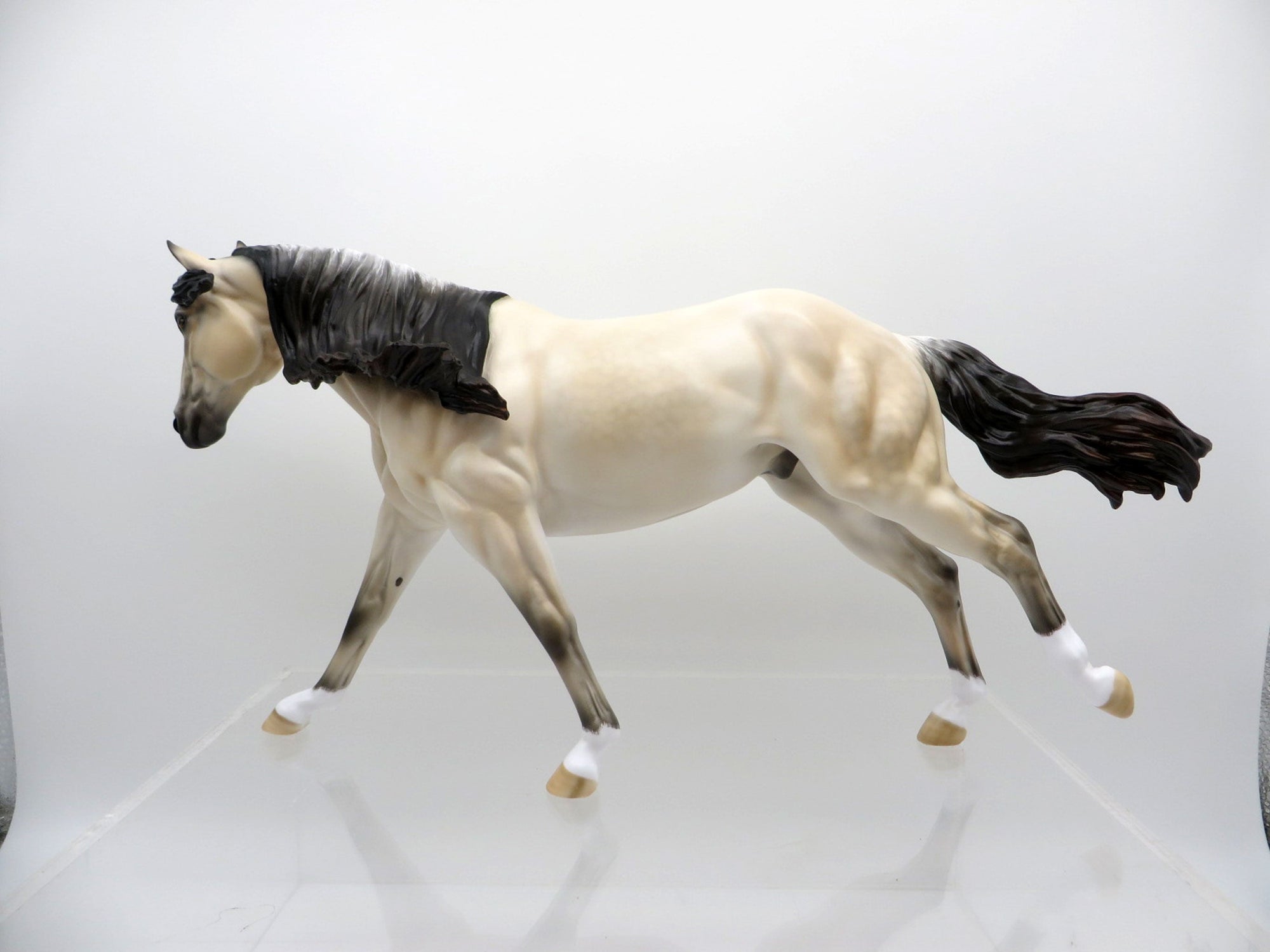 Cullen-OOAK Pale Buckskin Running Stock Horse By Carrie Keller 3/22