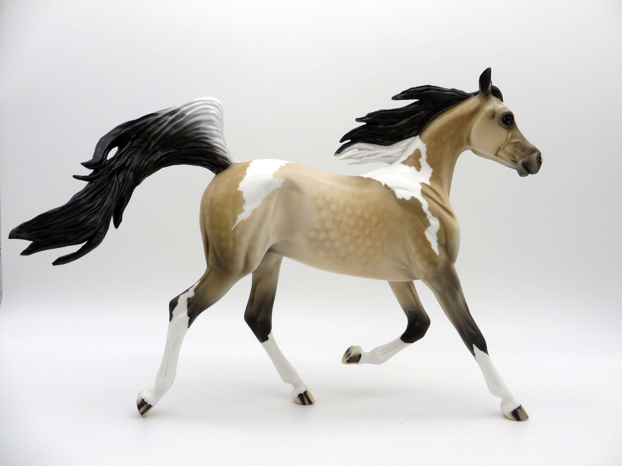 Cyclone-OOAK Buckskin Paint Yearling SHCF 2021