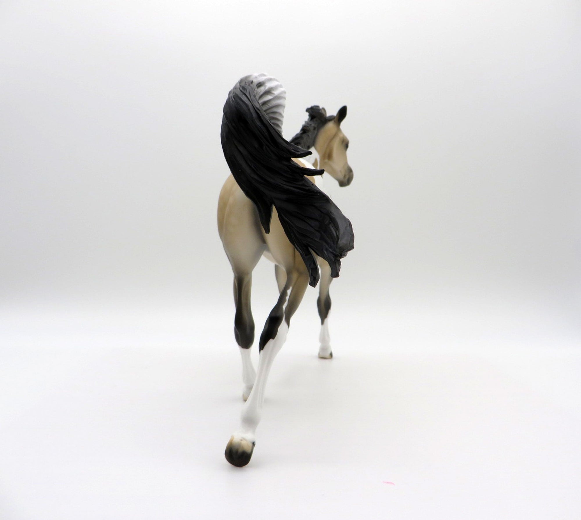 Cyclone-OOAK Buckskin Paint Yearling SHCF 2021