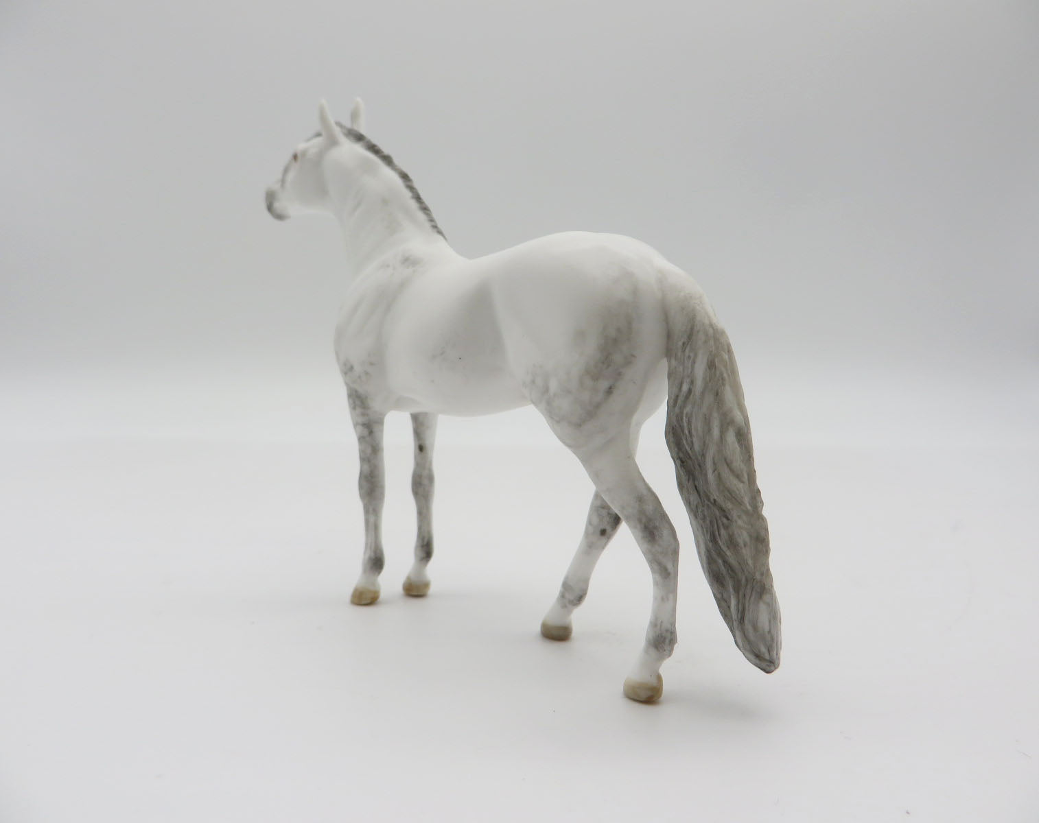 DENALI - OOAK Dapple Grey Andalusian Chip LHS 22