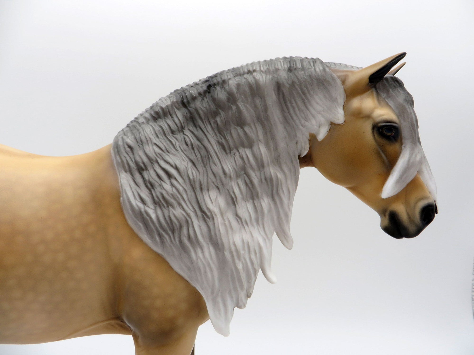 Daffodil-OOAK Sooty Palomino Heavy Draft Mare SHCF 2021