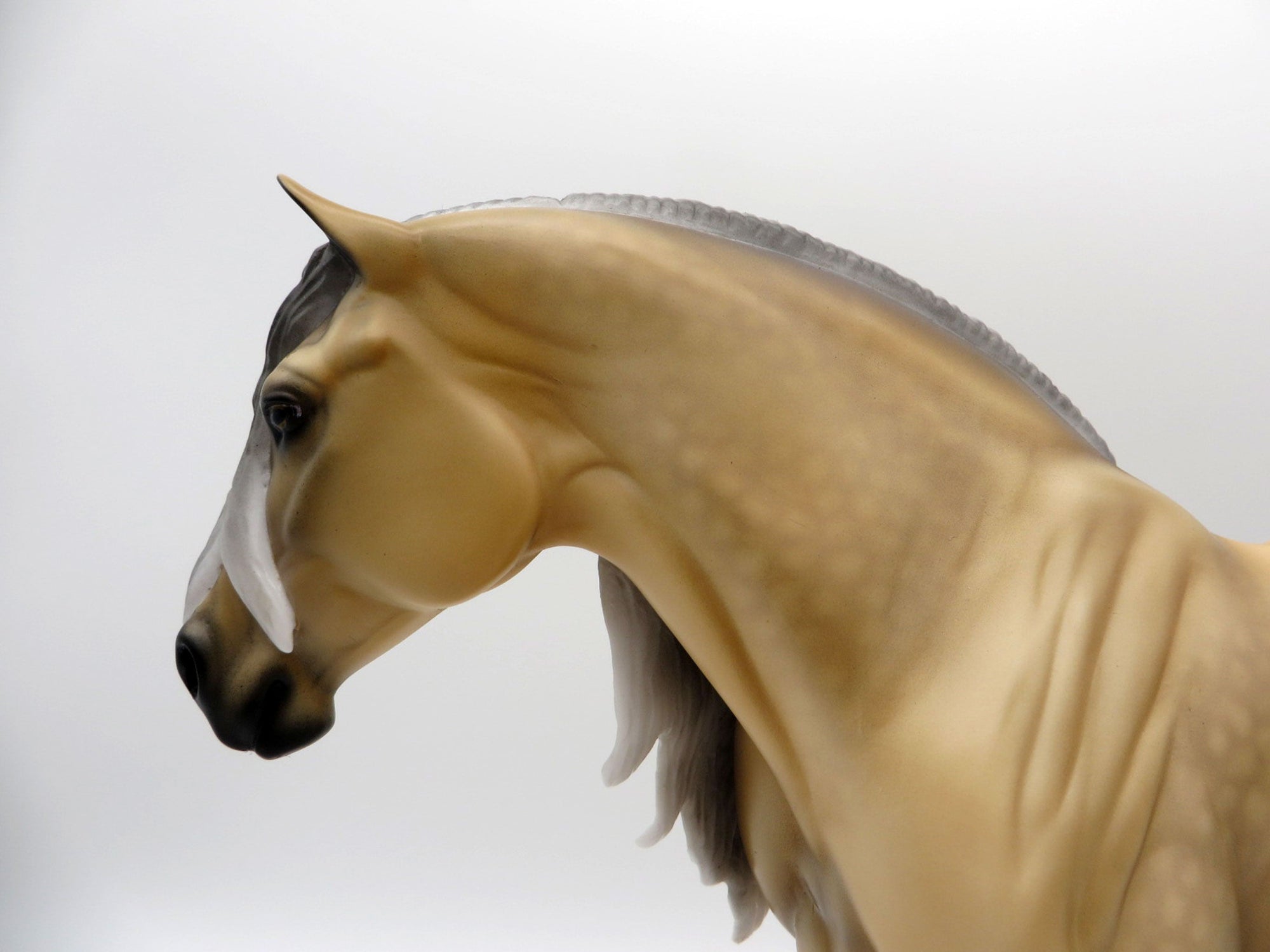 Daffodil-OOAK Sooty Palomino Heavy Draft Mare SHCF 2021