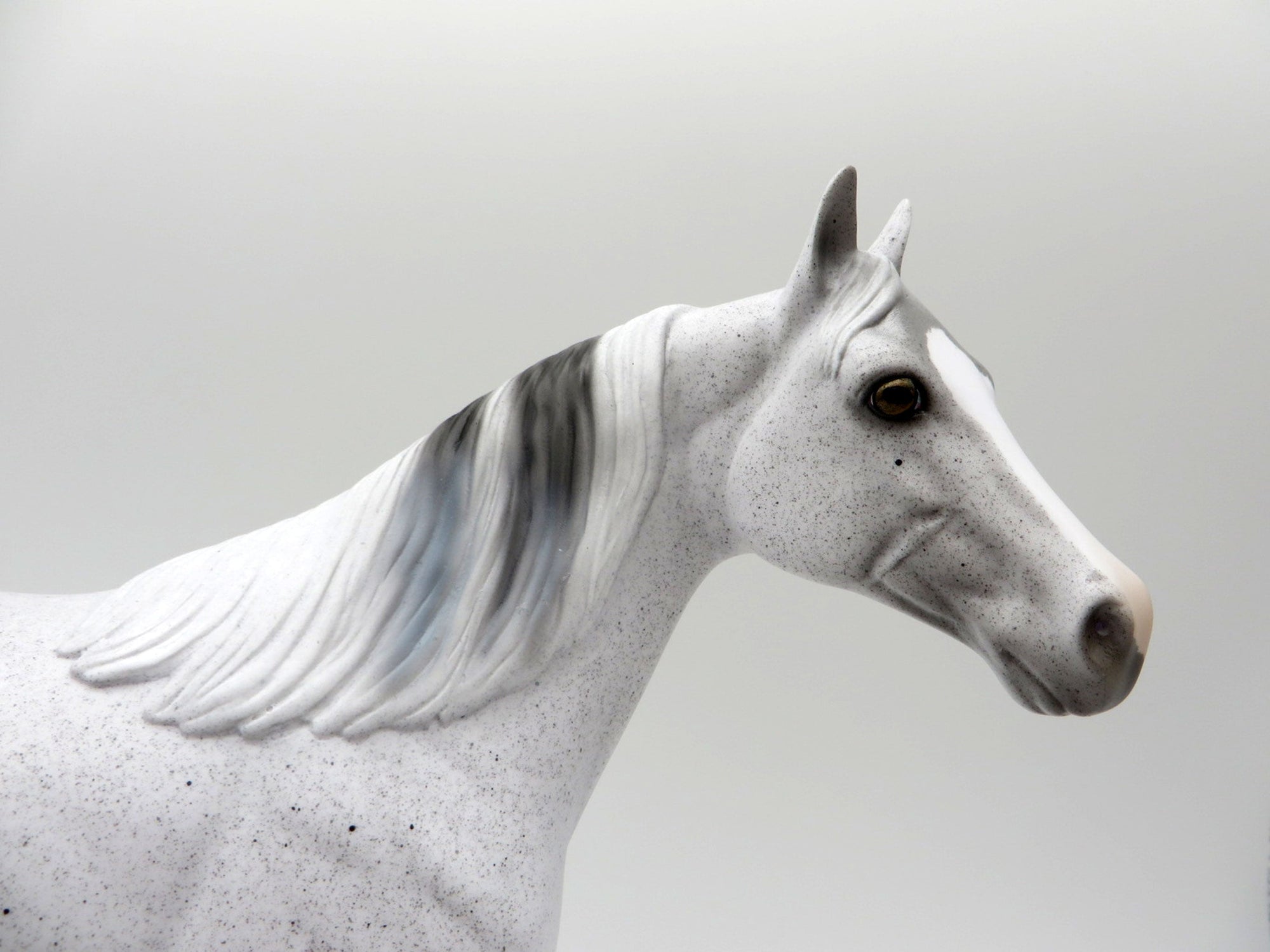 Dahlia-OOAK Pinto ISH SHCF 2021