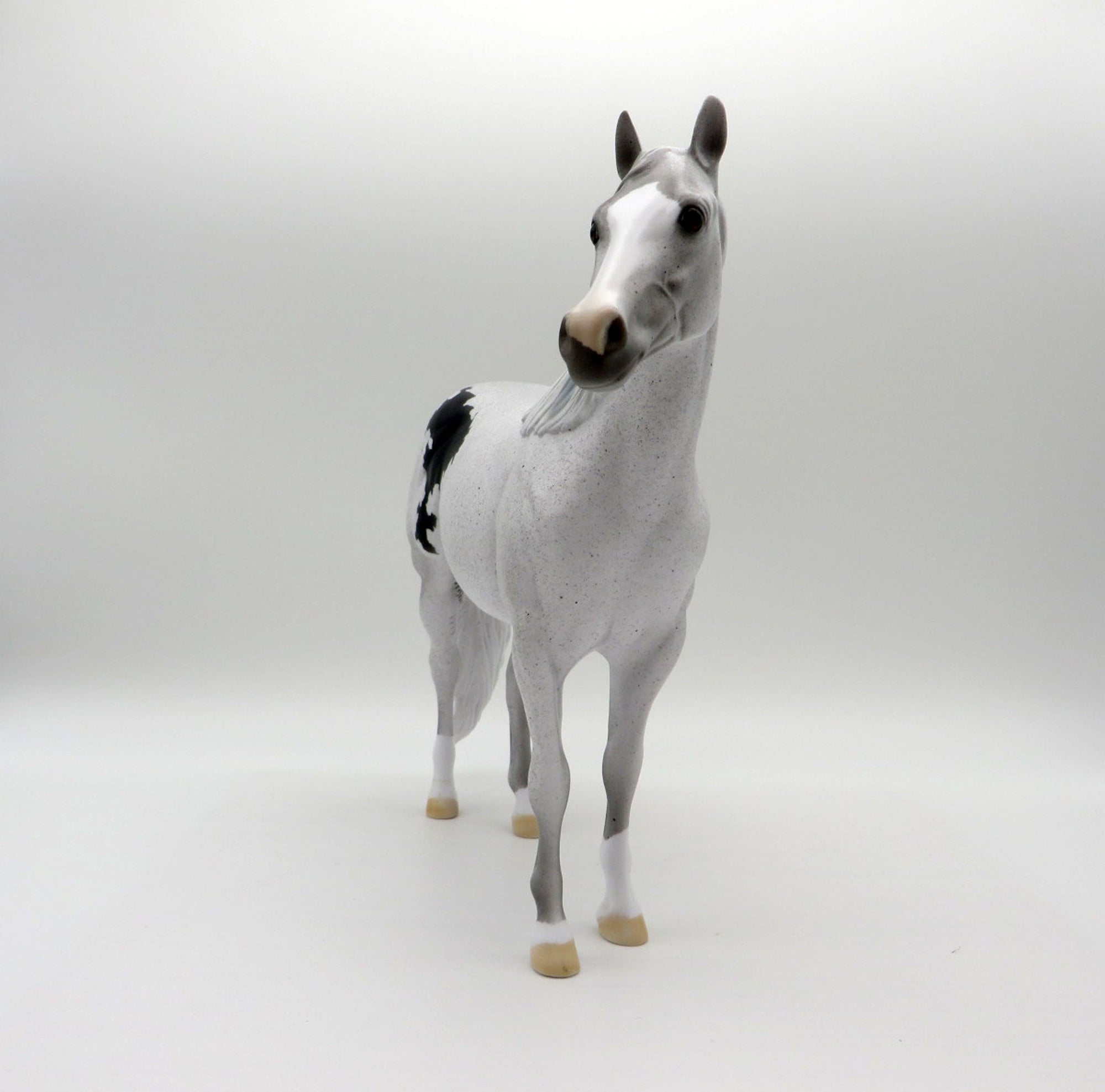 Dahlia-OOAK Pinto ISH SHCF 2021