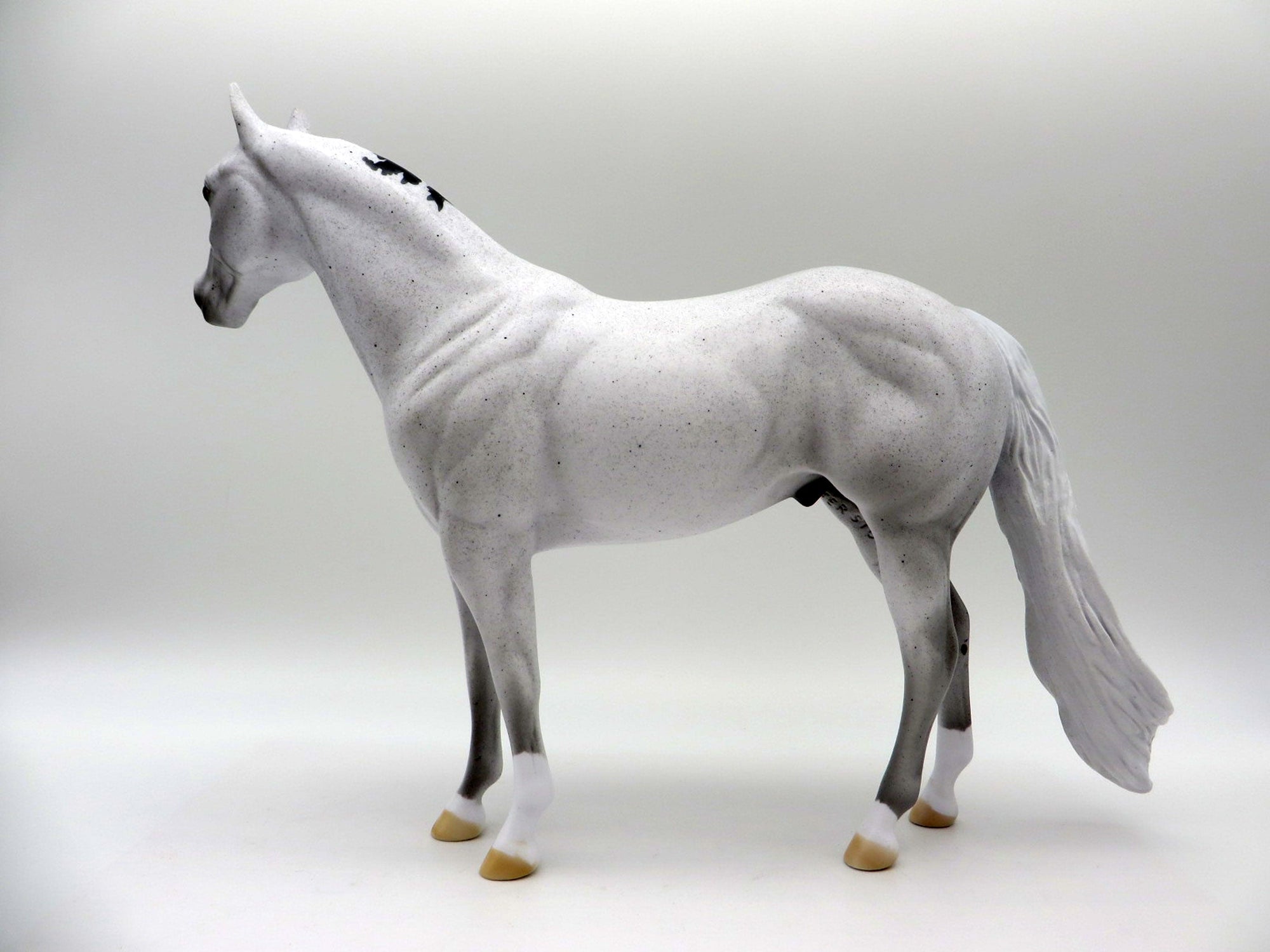 Dahlia-OOAK Pinto ISH SHCF 2021