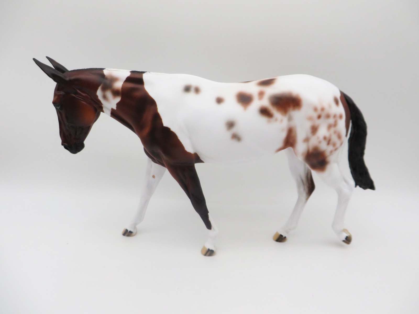 Daisy - OOAK - Loud Appy Mule By Dawn Quick - P&C 23