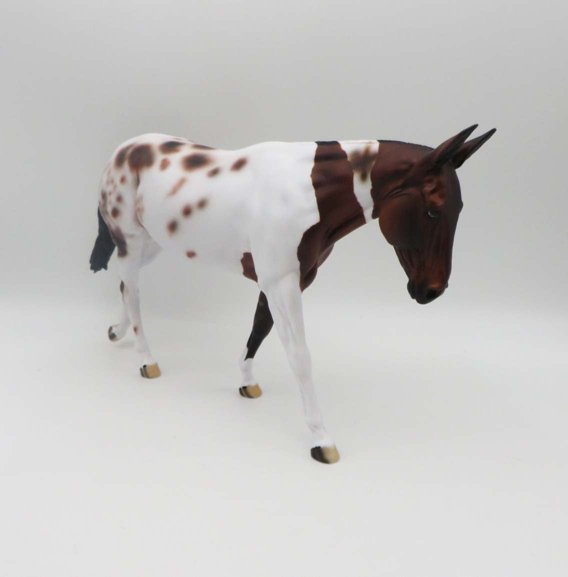 Daisy - OOAK - Loud Appy Mule By Dawn Quick - P&C 23