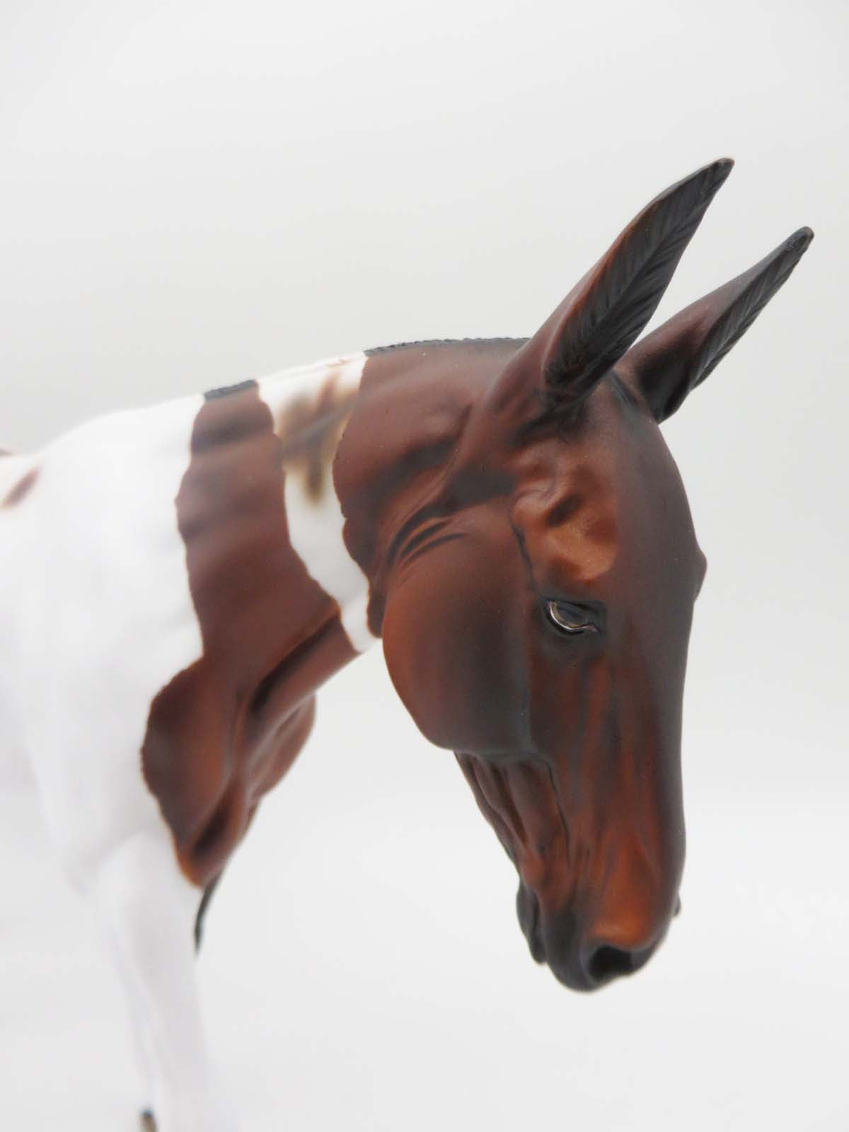 Daisy - OOAK - Loud Appy Mule By Dawn Quick - P&C 23
