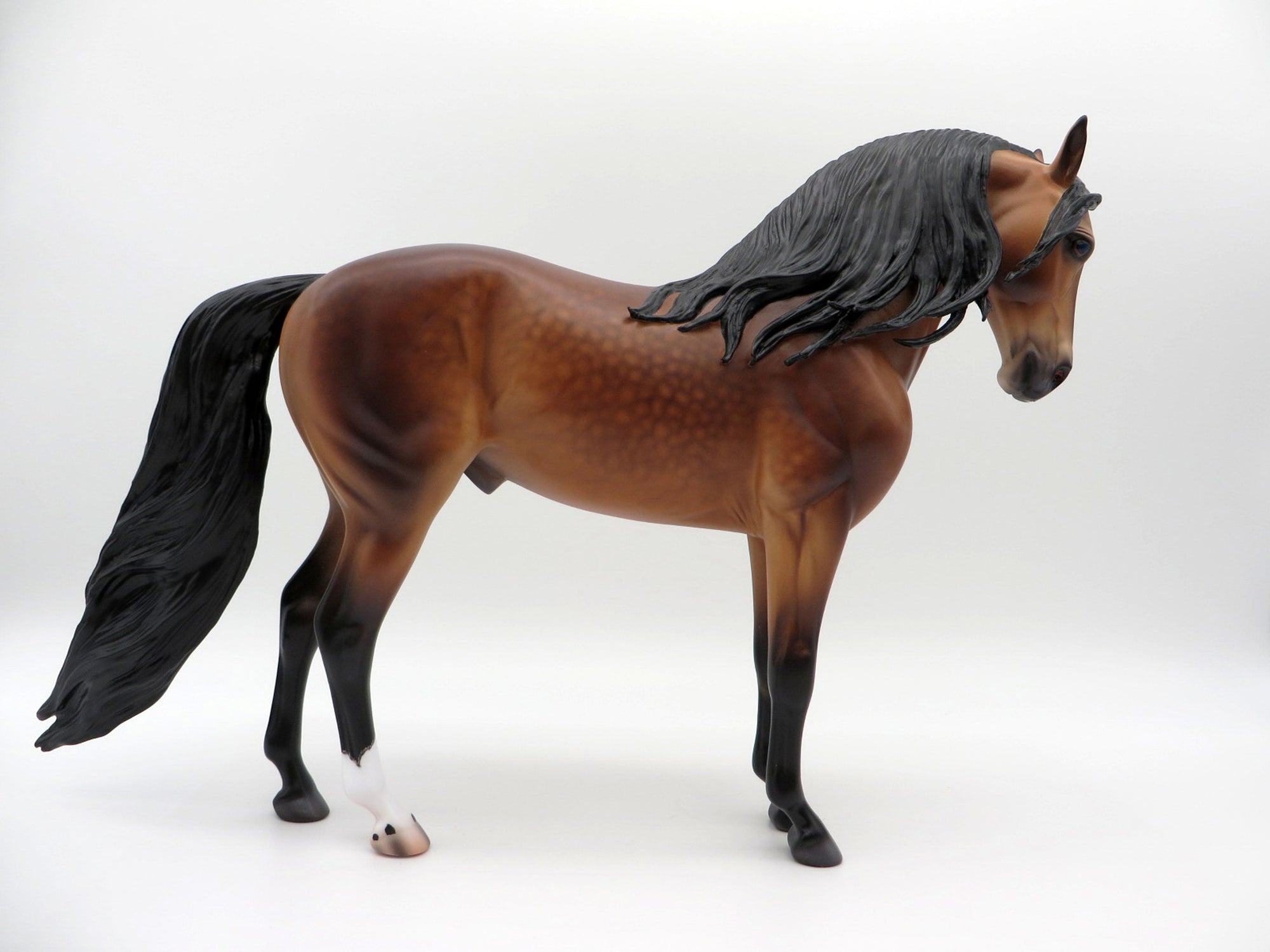 Danube-OOAK Andalusian By Caroline Boydston 4/5/21