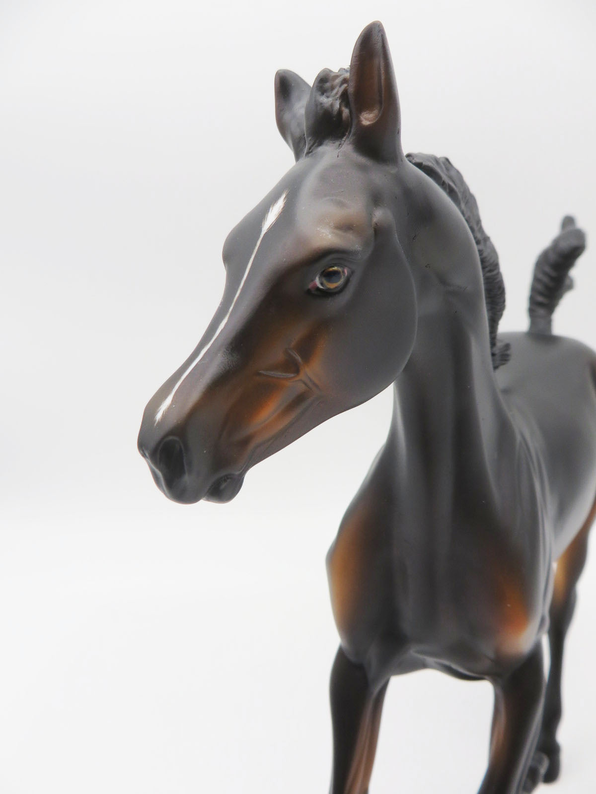 Darcy - OOAK - Seal Bay with Etching Yearling Painted by Ashley Palmer - MM22