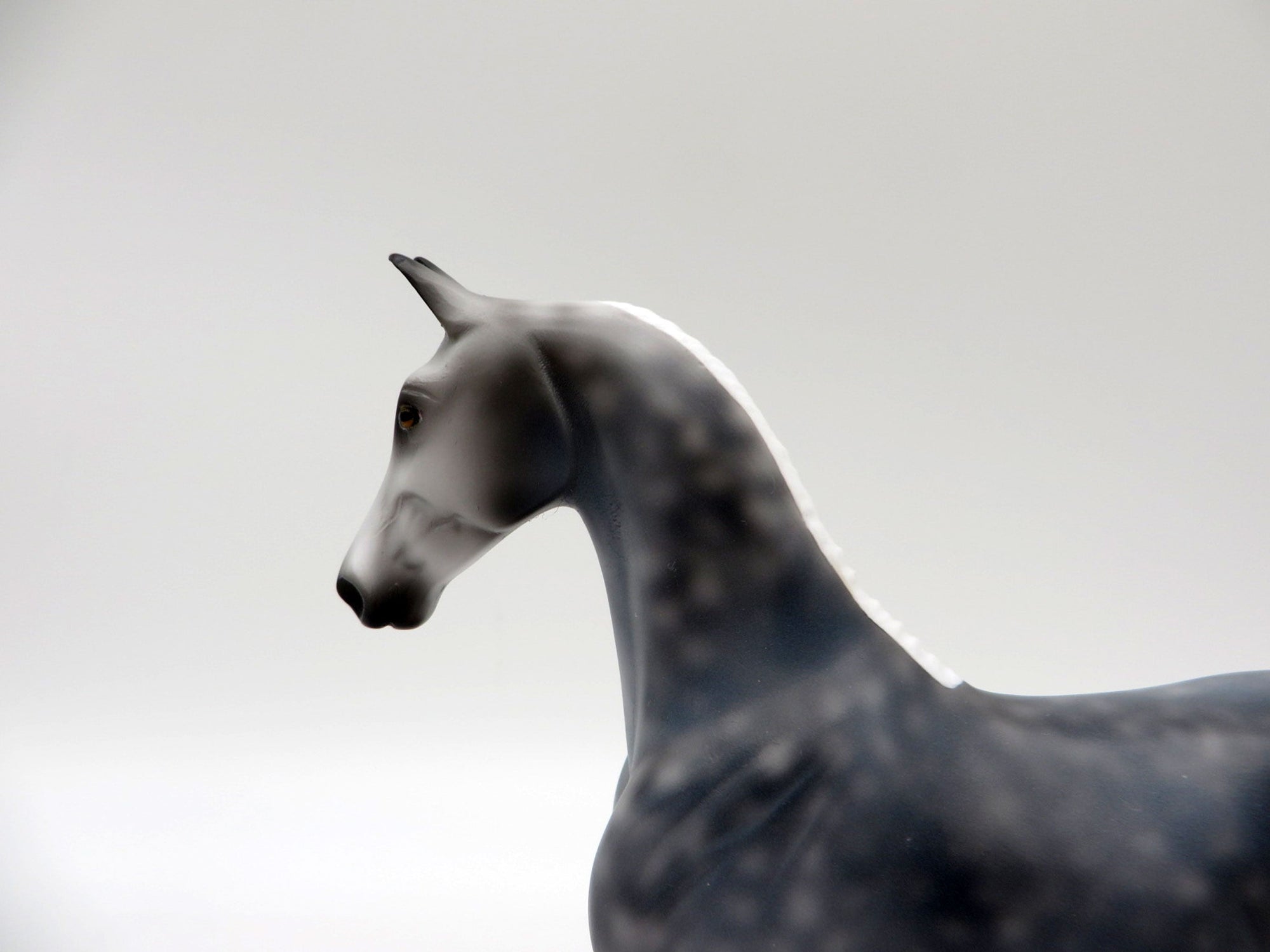 Dare-OOAK Dapple Grey Saddlebred Pebbles 5/21/21