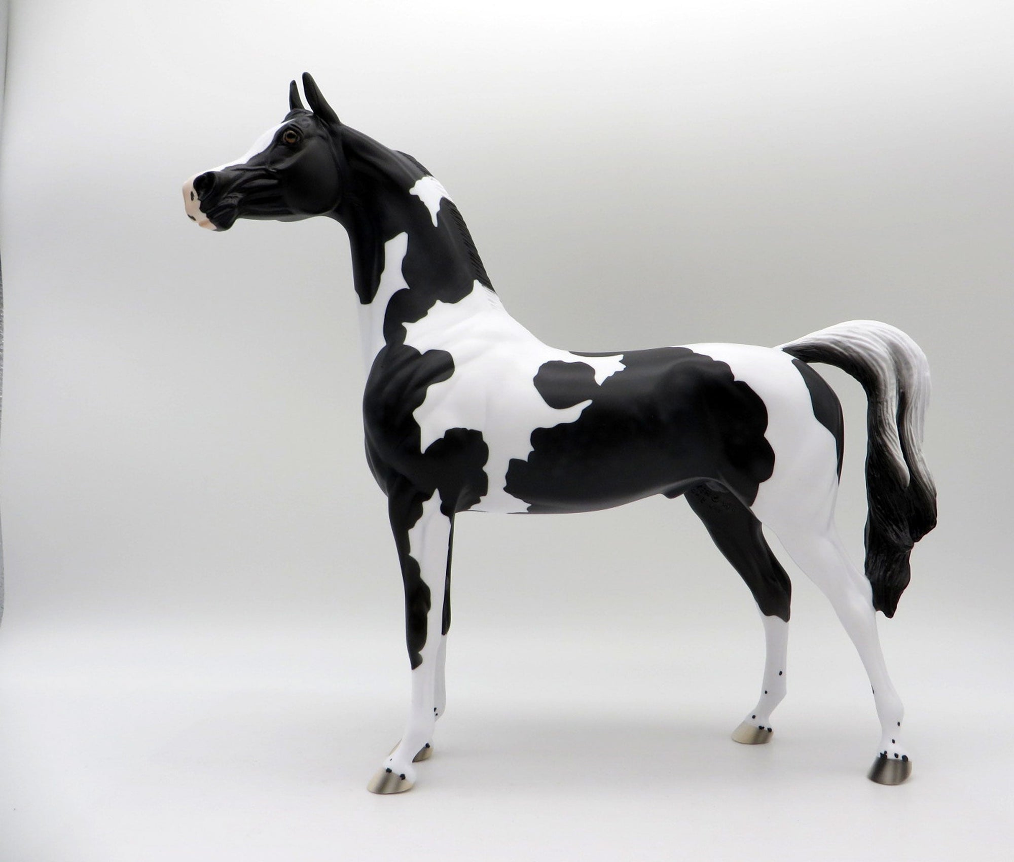 Dark Knight-OOAK Black Pinto Arabian 5/14/21