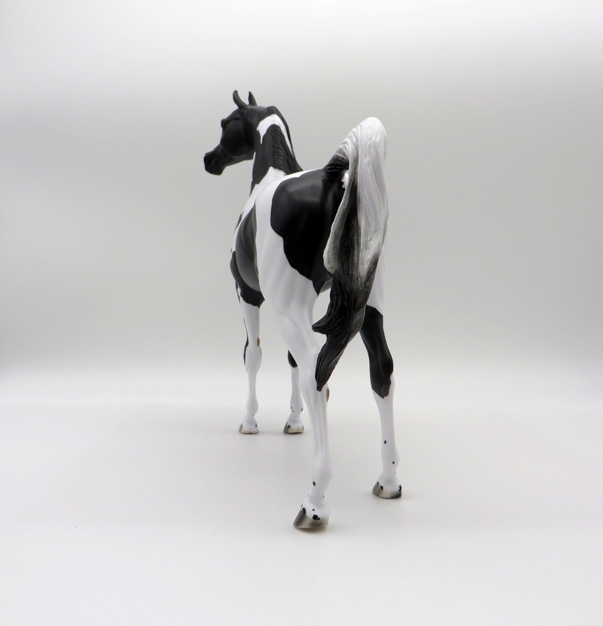 Dark Knight-OOAK Black Pinto Arabian 5/14/21