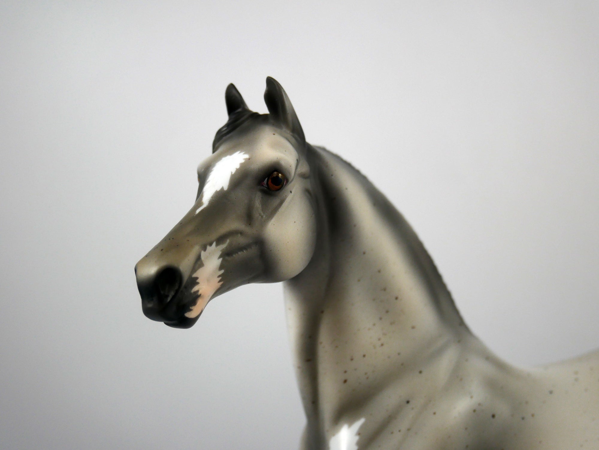 Darling-OOAK Grey Paint Morgan Model Horse 1/20/21