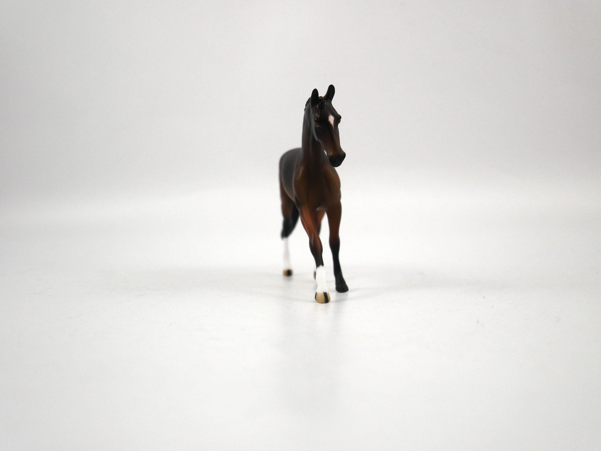 Dechen-OOAK Bay Warmblood Chip 1/27/21