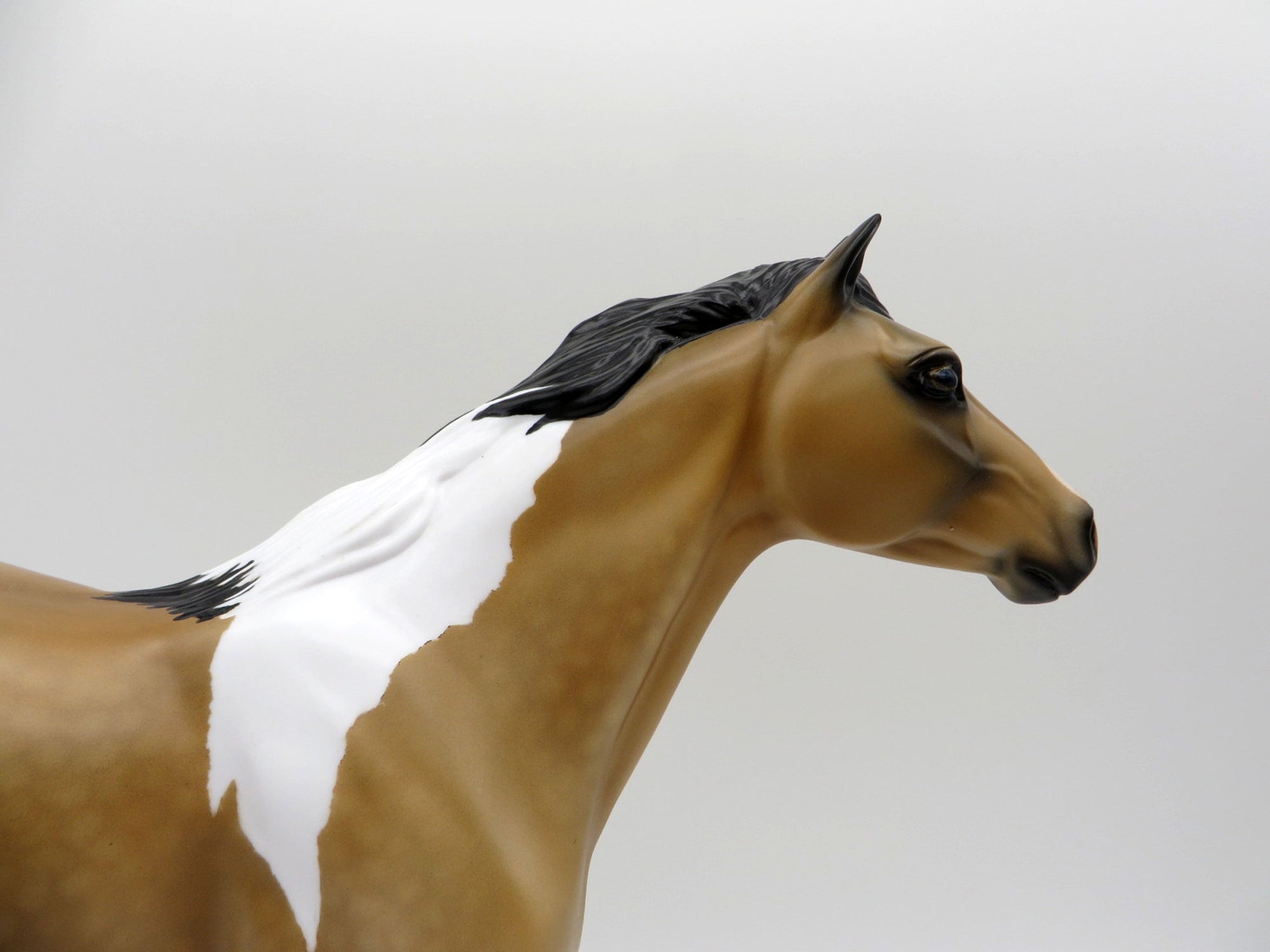 Decima-OOAK Dapple Buckskin Pinto Mustang SHCF 2021