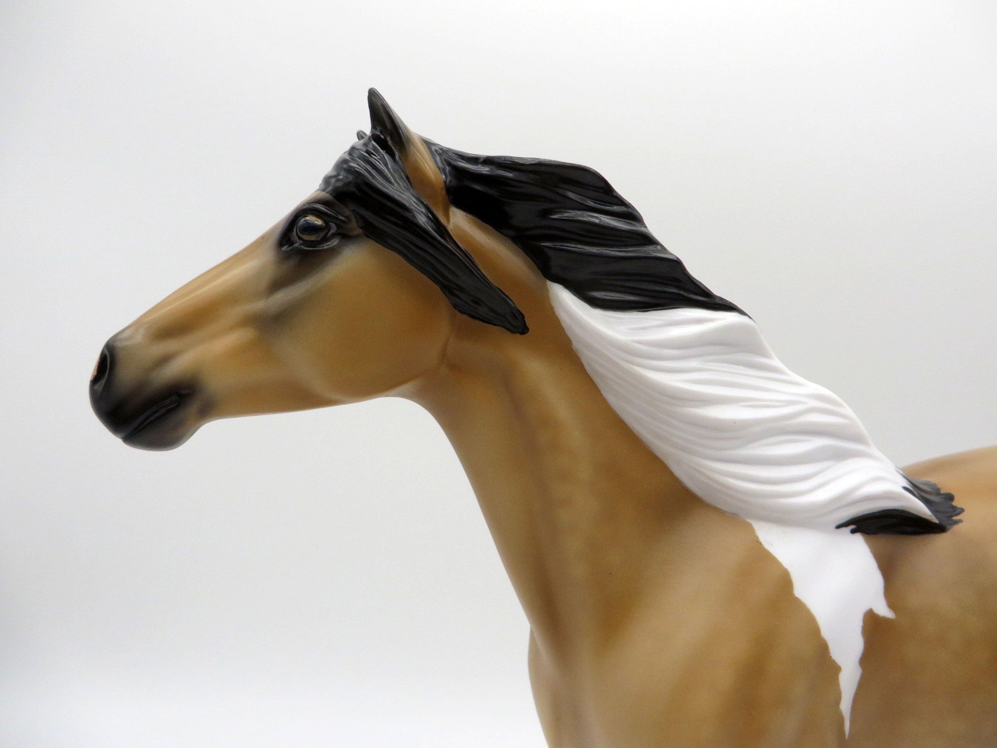 Decima-OOAK Dapple Buckskin Pinto Mustang SHCF 2021