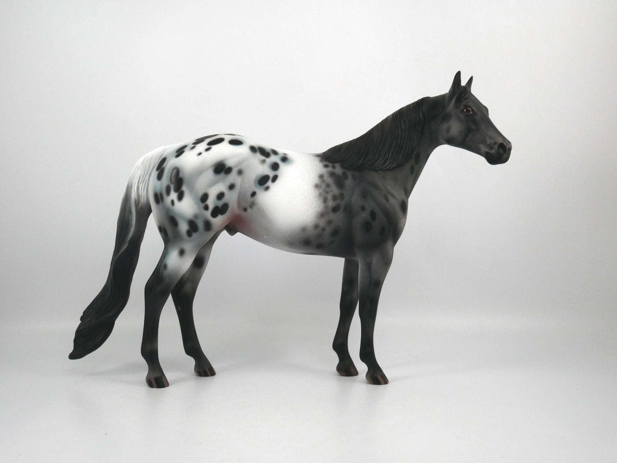 Def Leppard-OOAK Appaloosa ISH1/8/21