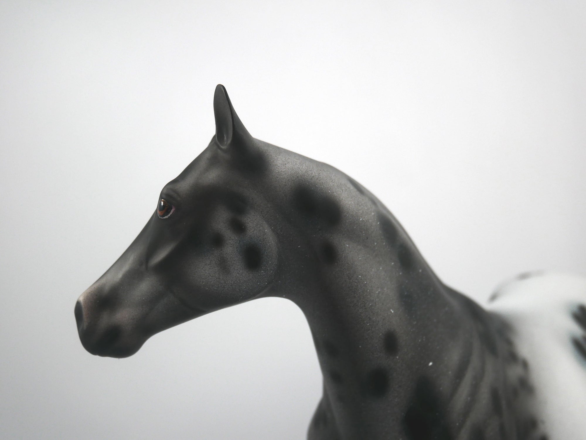 Def Leppard-OOAK Appaloosa ISH1/8/21