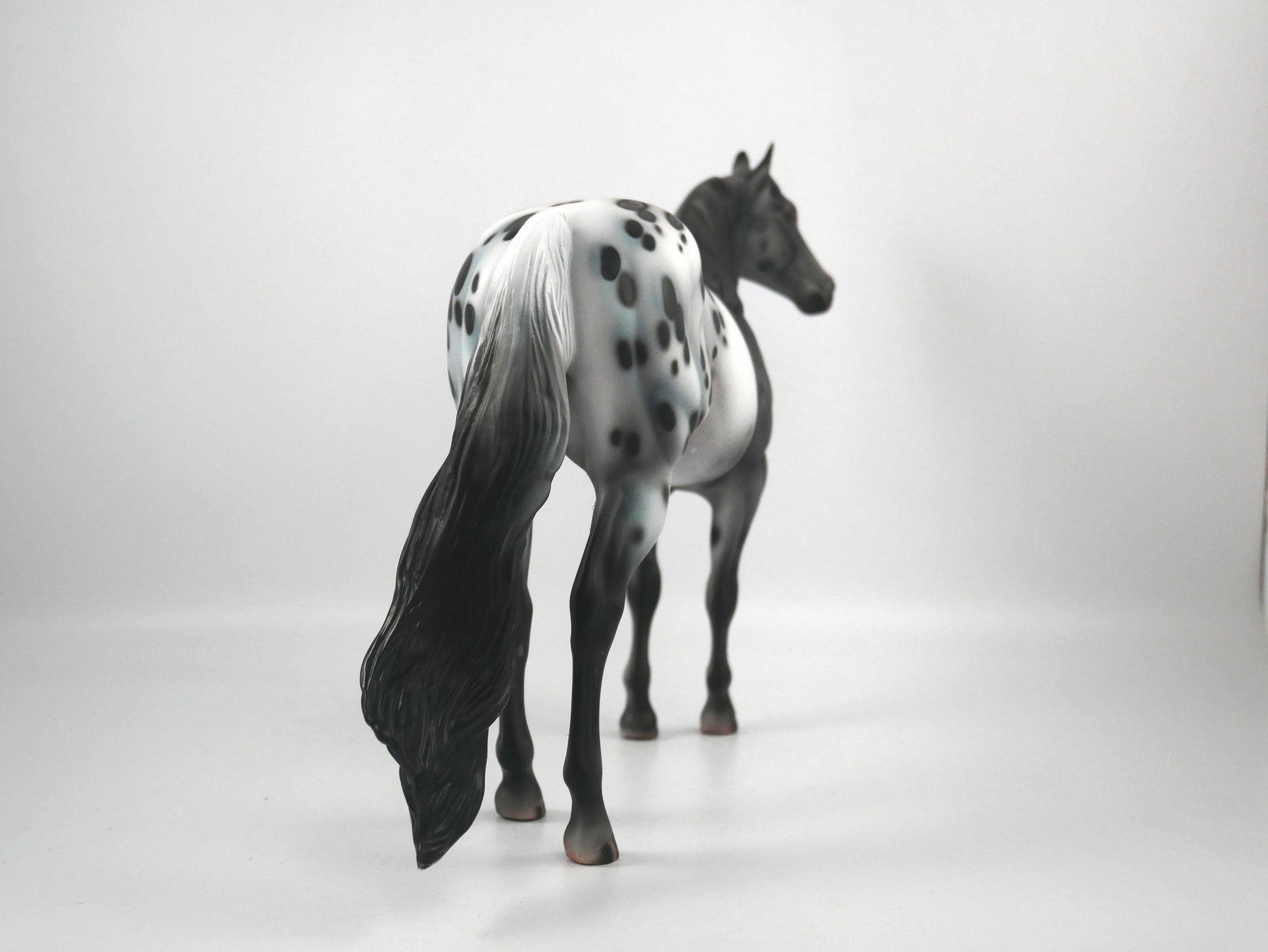 Def Leppard-OOAK Appaloosa ISH1/8/21